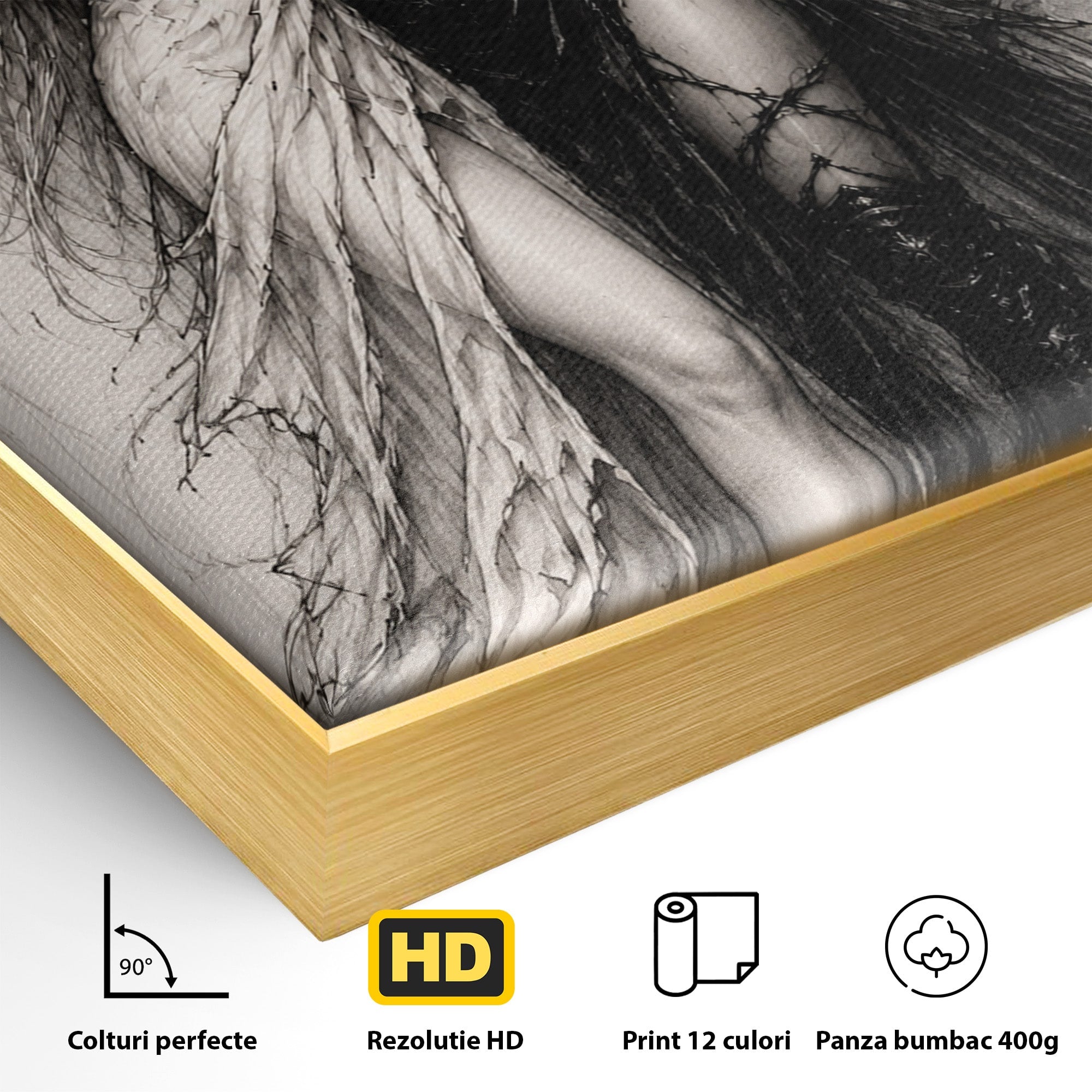 Tablou Canvas Premium LuxCanva® U1119, Inger Si Demon, Contrast, Mitologie, Inger, Demon, Living, Culori Vibrante
