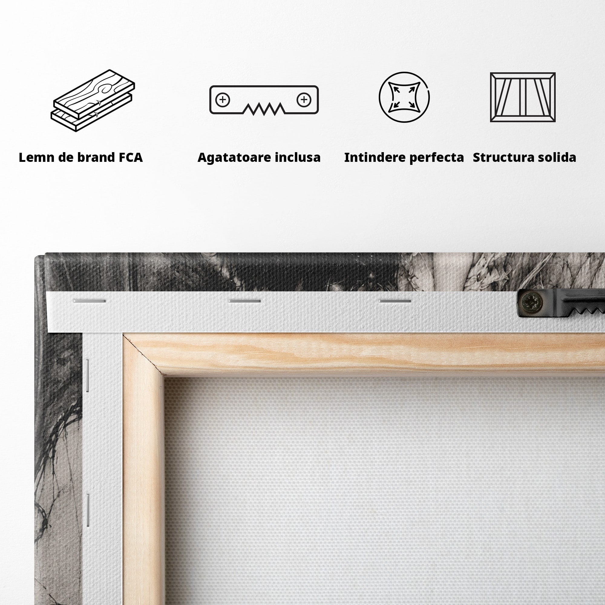 Tablou Canvas Premium LuxCanva® U1119, Inger Si Demon, Contrast, Mitologie, Inger, Demon, Living, Culori Vibrante