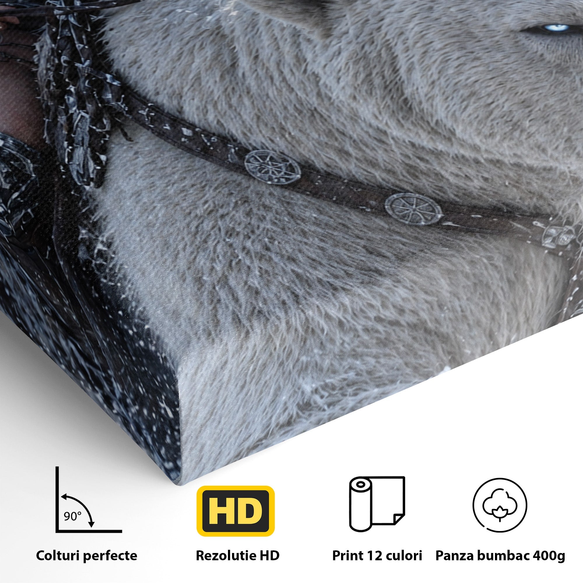 Tablou Canvas Premium LuxCanva® U1121, Razboinica Nordica Pe Urs Polar,  Fantezie, Aventura, Razboinica, Urs,Dormitor, Living, Culori Vibrante