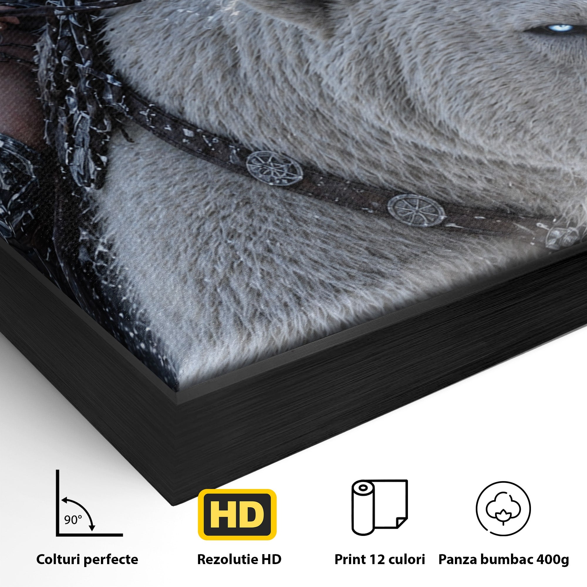 Tablou Canvas Premium LuxCanva® U1121, Razboinica Nordica Pe Urs Polar,  Fantezie, Aventura, Razboinica, Urs,Dormitor, Living, Culori Vibrante