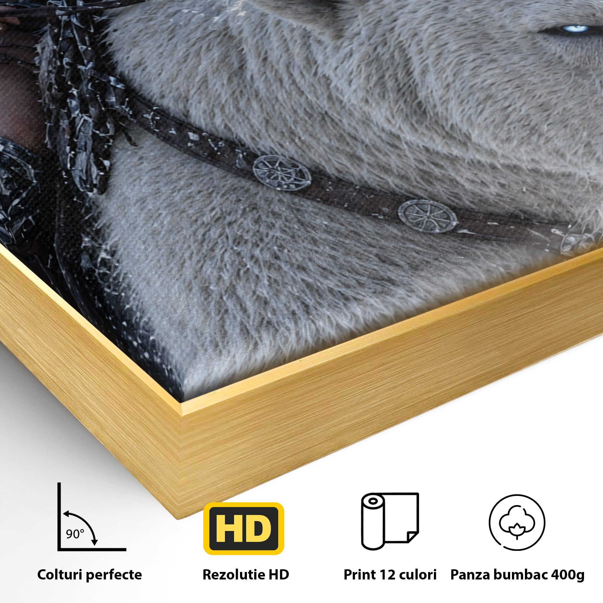 Tablou Canvas Premium LuxCanva® U1121, Razboinica Nordica Pe Urs Polar,  Fantezie, Aventura, Razboinica, Urs,Dormitor, Living, Culori Vibrante