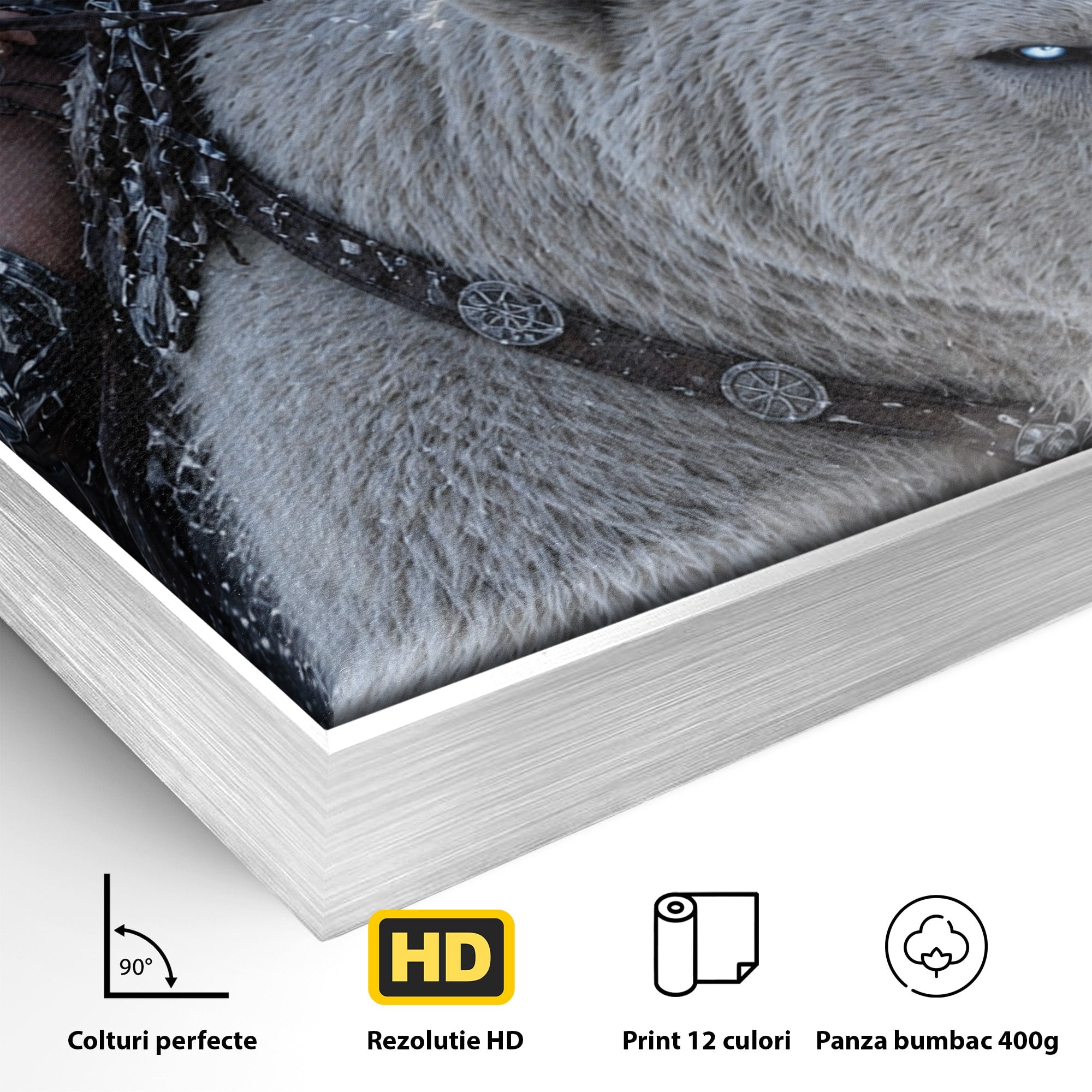 Tablou Canvas Premium LuxCanva® U1121, Razboinica Nordica Pe Urs Polar,  Fantezie, Aventura, Razboinica, Urs,Dormitor, Living, Culori Vibrante
