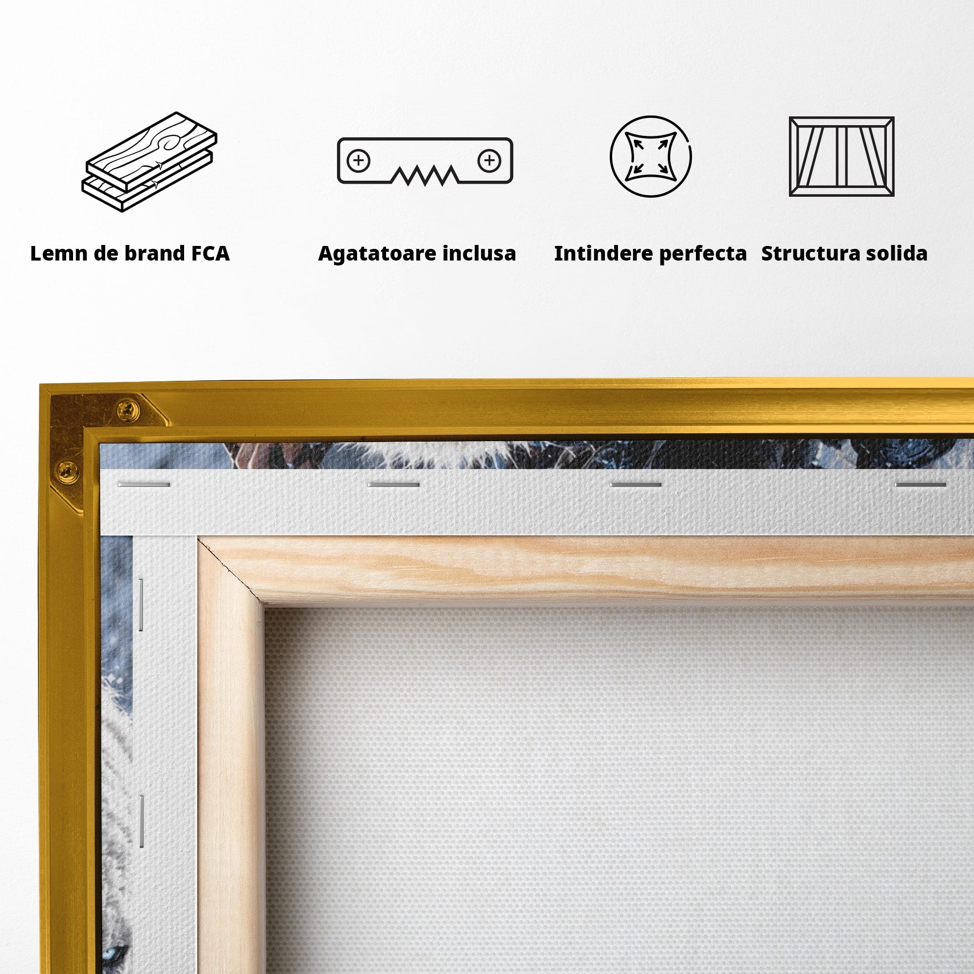 Tablou Canvas Premium LuxCanva® U1121, Razboinica Nordica Pe Urs Polar,  Fantezie, Aventura, Razboinica, Urs,Dormitor, Living, Culori Vibrante