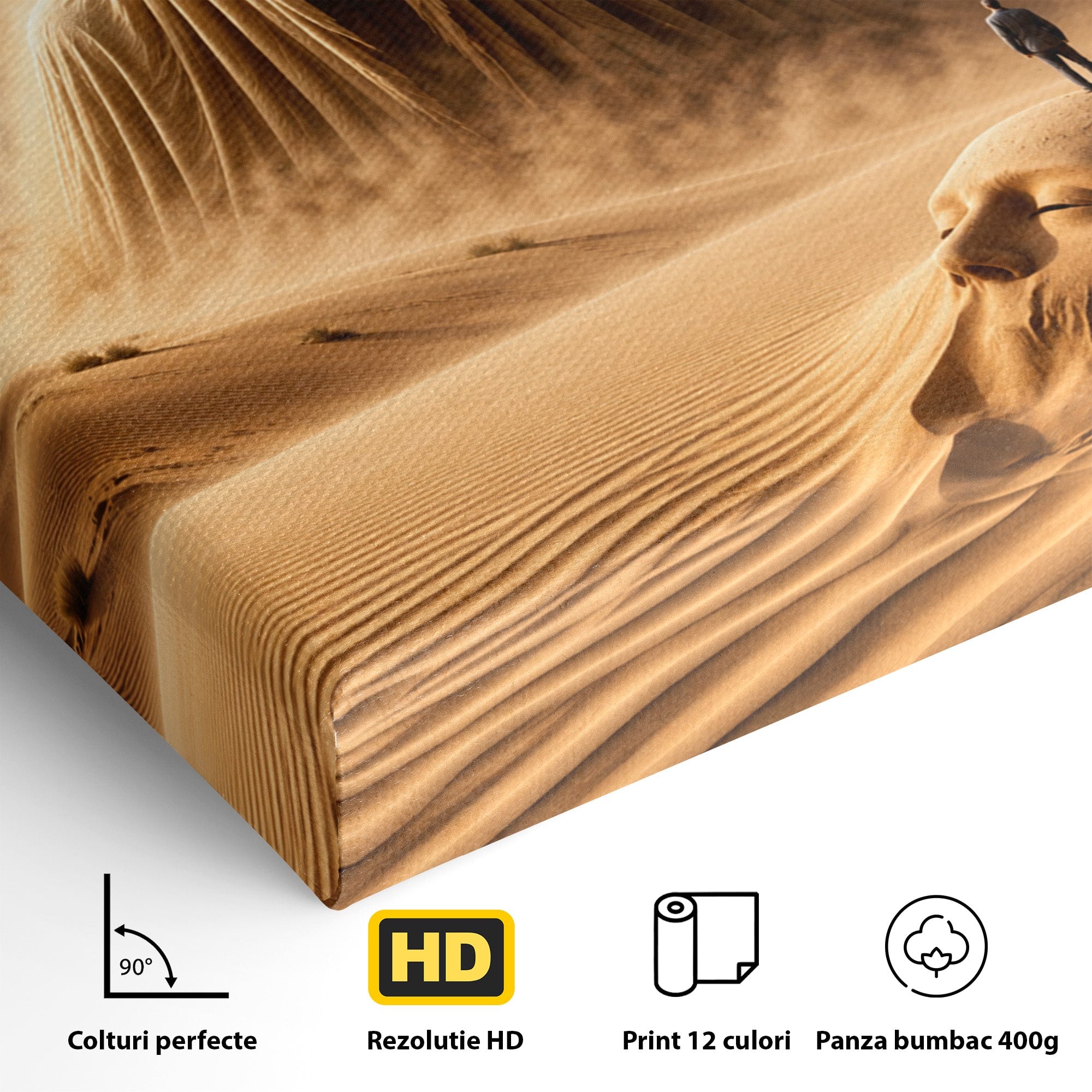 Tablou Canvas Premium LuxCanva® U1124, Fantoma Desertului,  Mister, Peisaj, Natura, Dramatic, Desert, Living, Culori Vibrante