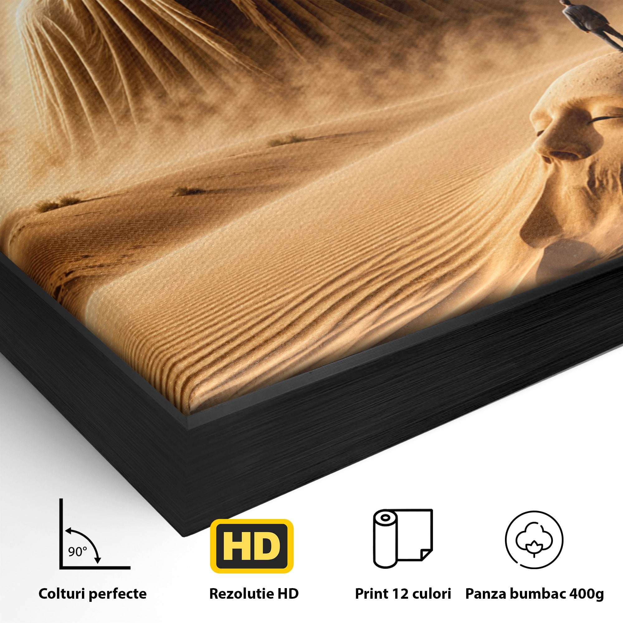Tablou Canvas Premium LuxCanva® U1124, Fantoma Desertului,  Mister, Peisaj, Natura, Dramatic, Desert, Living, Culori Vibrante
