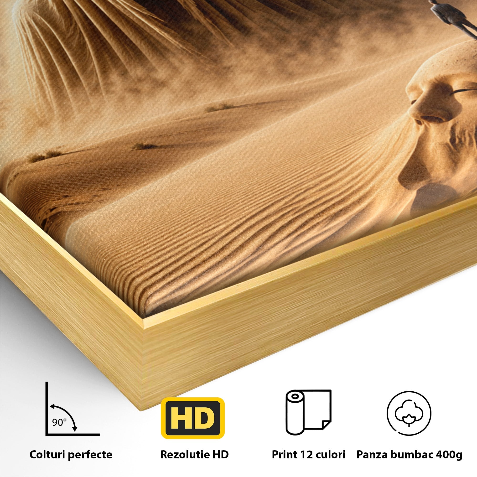 Tablou Canvas Premium LuxCanva® U1124, Fantoma Desertului,  Mister, Peisaj, Natura, Dramatic, Desert, Living, Culori Vibrante