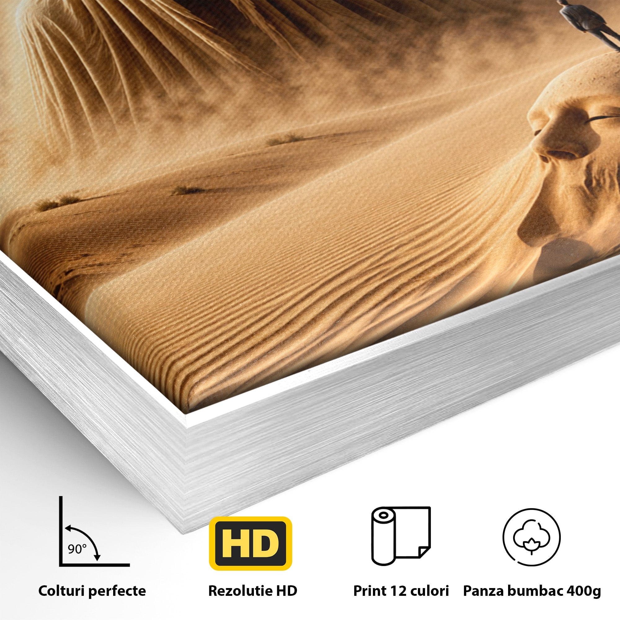 Tablou Canvas Premium LuxCanva® U1124, Fantoma Desertului,  Mister, Peisaj, Natura, Dramatic, Desert, Living, Culori Vibrante