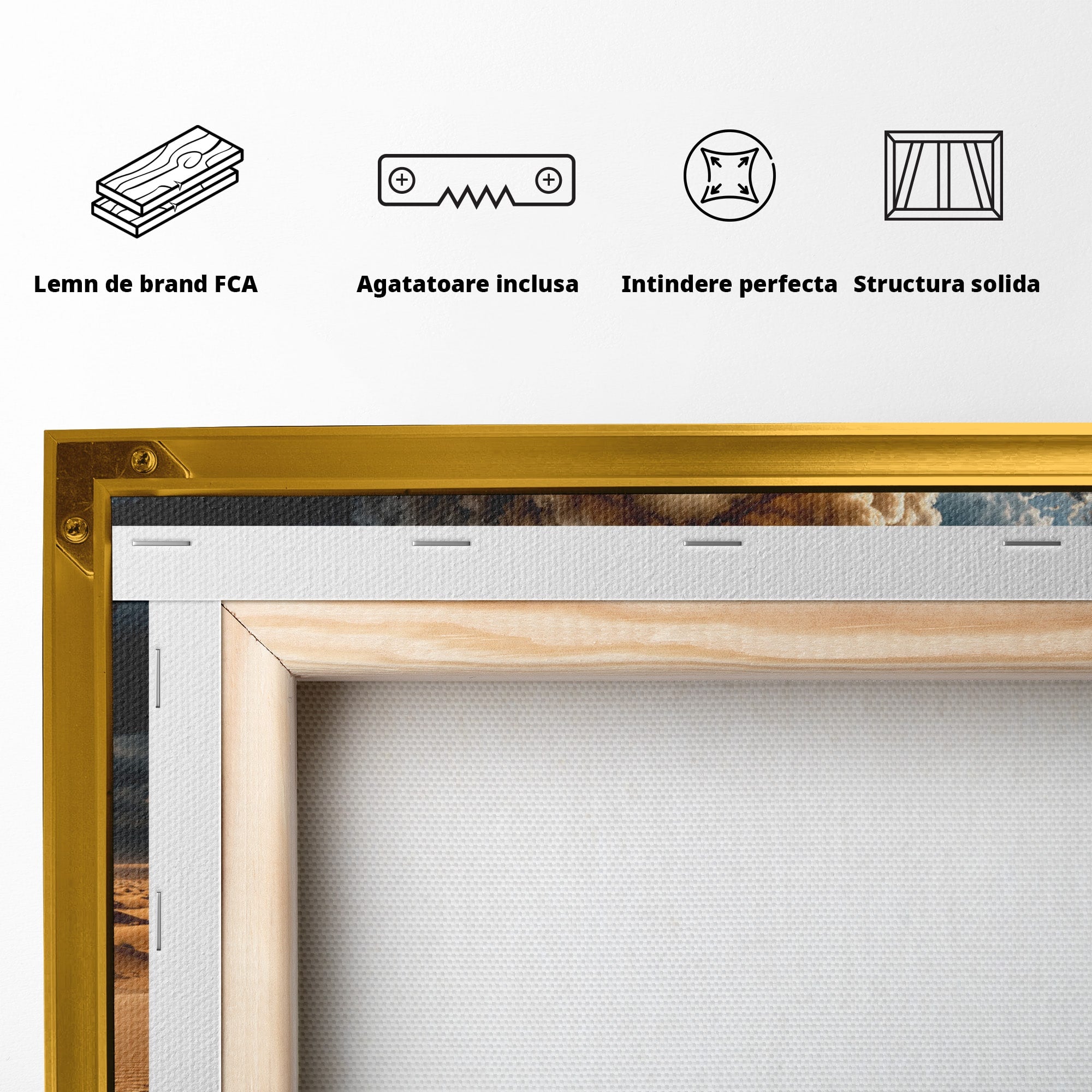 Tablou Canvas Premium LuxCanva® U1124, Fantoma Desertului,  Mister, Peisaj, Natura, Dramatic, Desert, Living, Culori Vibrante