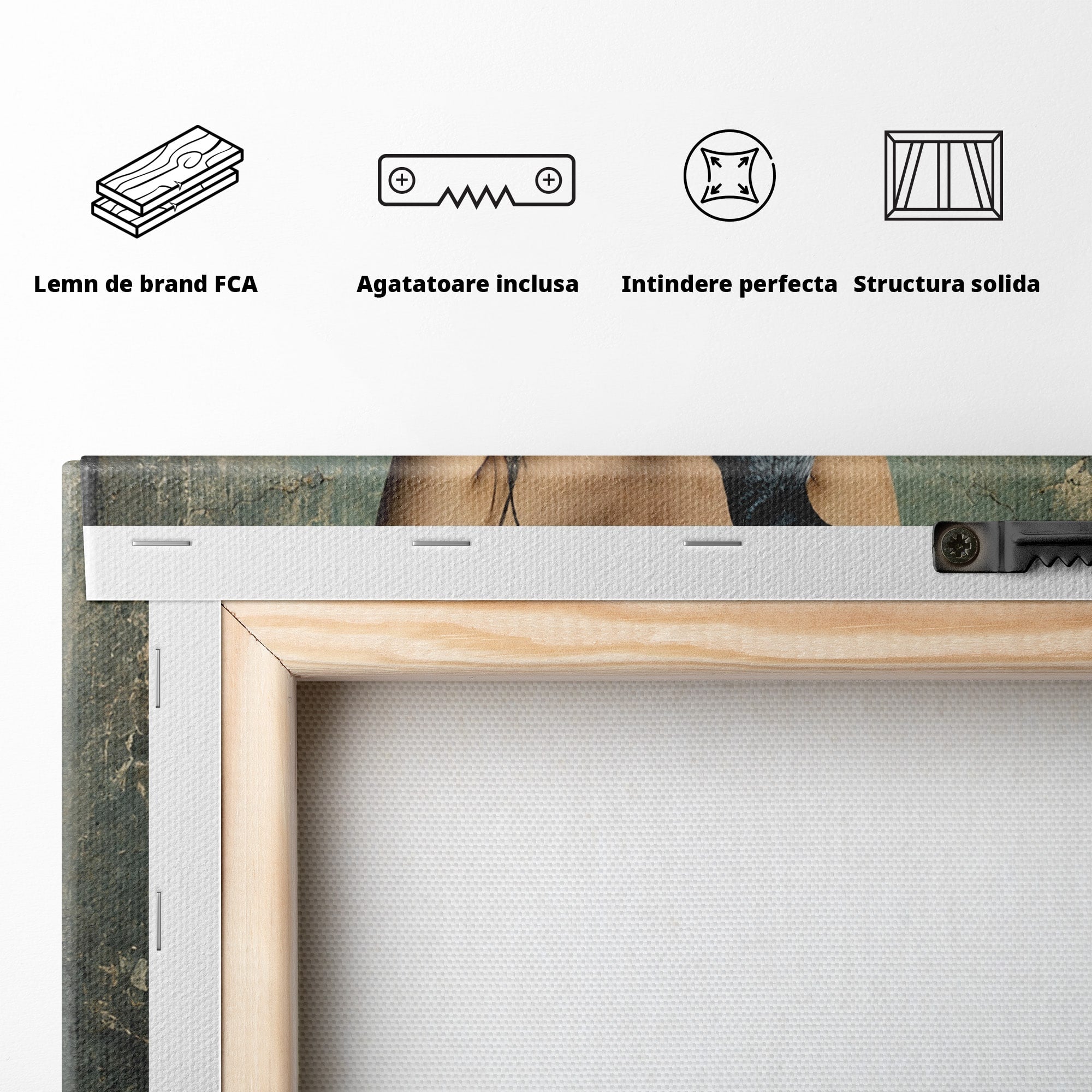 Tablou Canvas Premium LuxCanva® U1130, Femeie Cu Corb La Luna Plina, Noapte, Mister, Femeie, Corb, Luna, Living, Dormitor, Culori Vibrante