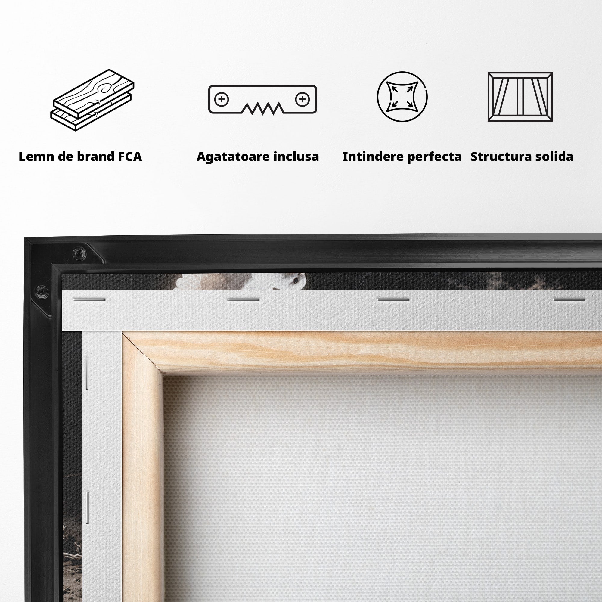 Tablou Canvas Premium LuxCanva® U1131, Mana Si Porumbelul Pacii,  Noapte, Mana, Porumbel, Pace, Living, Culori Vibrante