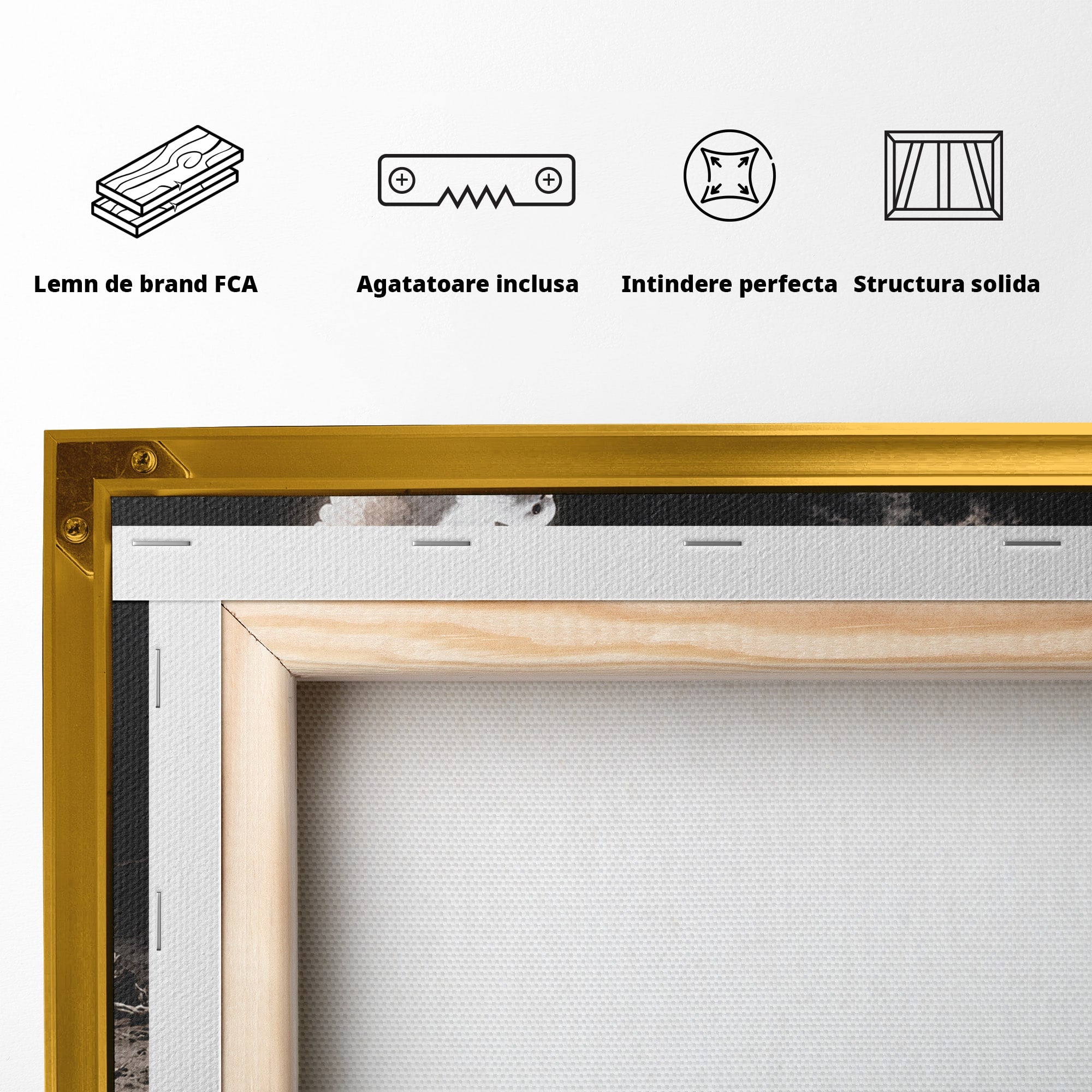 Tablou Canvas Premium LuxCanva® U1131, Mana Si Porumbelul Pacii,  Noapte, Mana, Porumbel, Pace, Living, Culori Vibrante