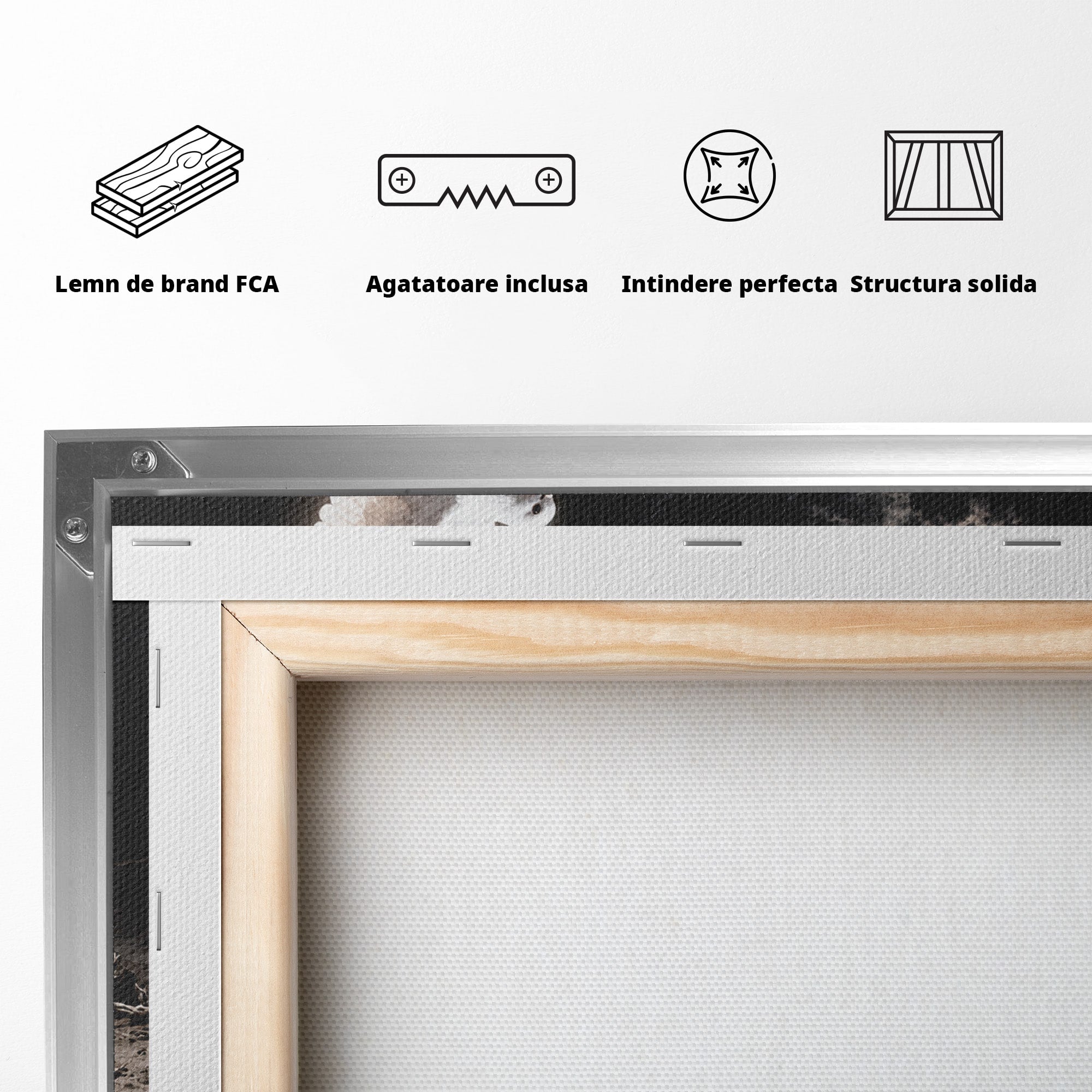 Tablou Canvas Premium LuxCanva® U1131, Mana Si Porumbelul Pacii,  Noapte, Mana, Porumbel, Pace, Living, Culori Vibrante