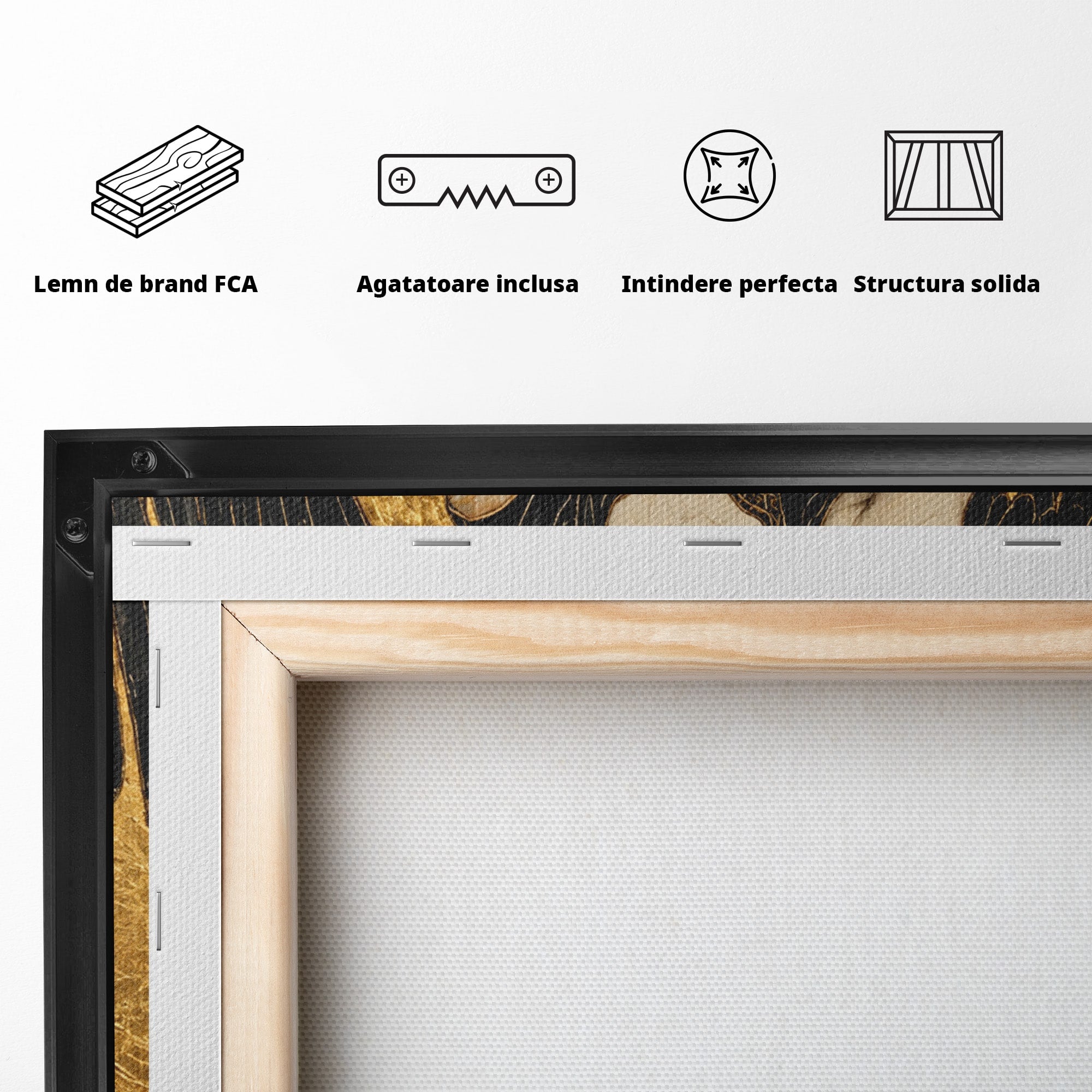 Tablou Canvas Premium LuxCanva® U1136, Inger Medieval Cu Aripi Negre,  Mistic, Eleganta, Inger, Aripi, Dormitor, Culori Vibrante