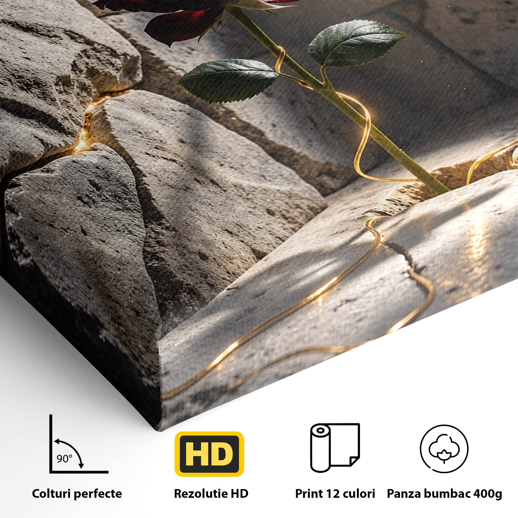Tablou Canvas Premium LuxCanva® U1139, Trandafirul Magic, Fereastra, Lumina, Piatra, Trandafir, Dormitor, Culori Vibrante