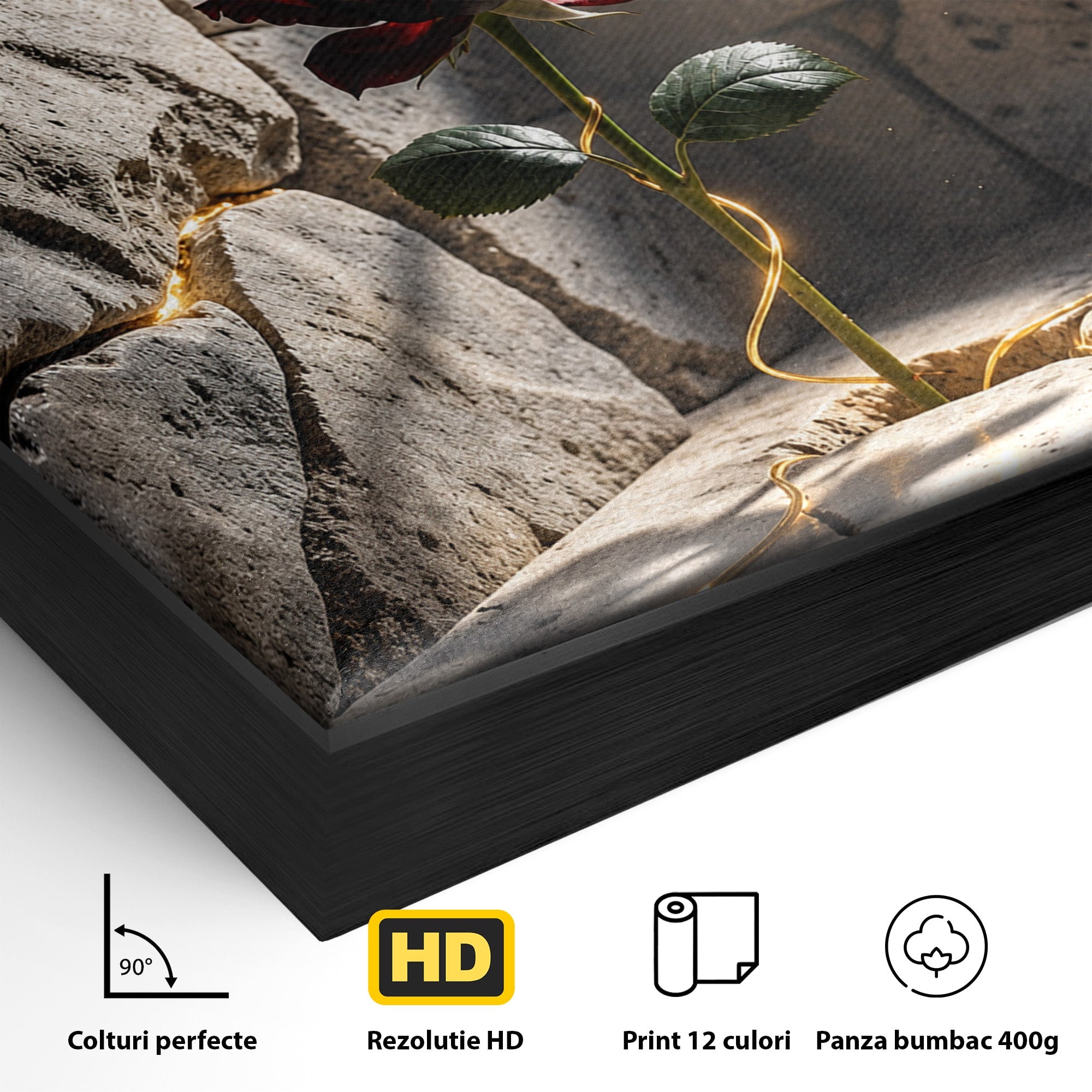 Tablou Canvas Premium LuxCanva® U1139, Trandafirul Magic, Fereastra, Lumina, Piatra, Trandafir, Dormitor, Culori Vibrante