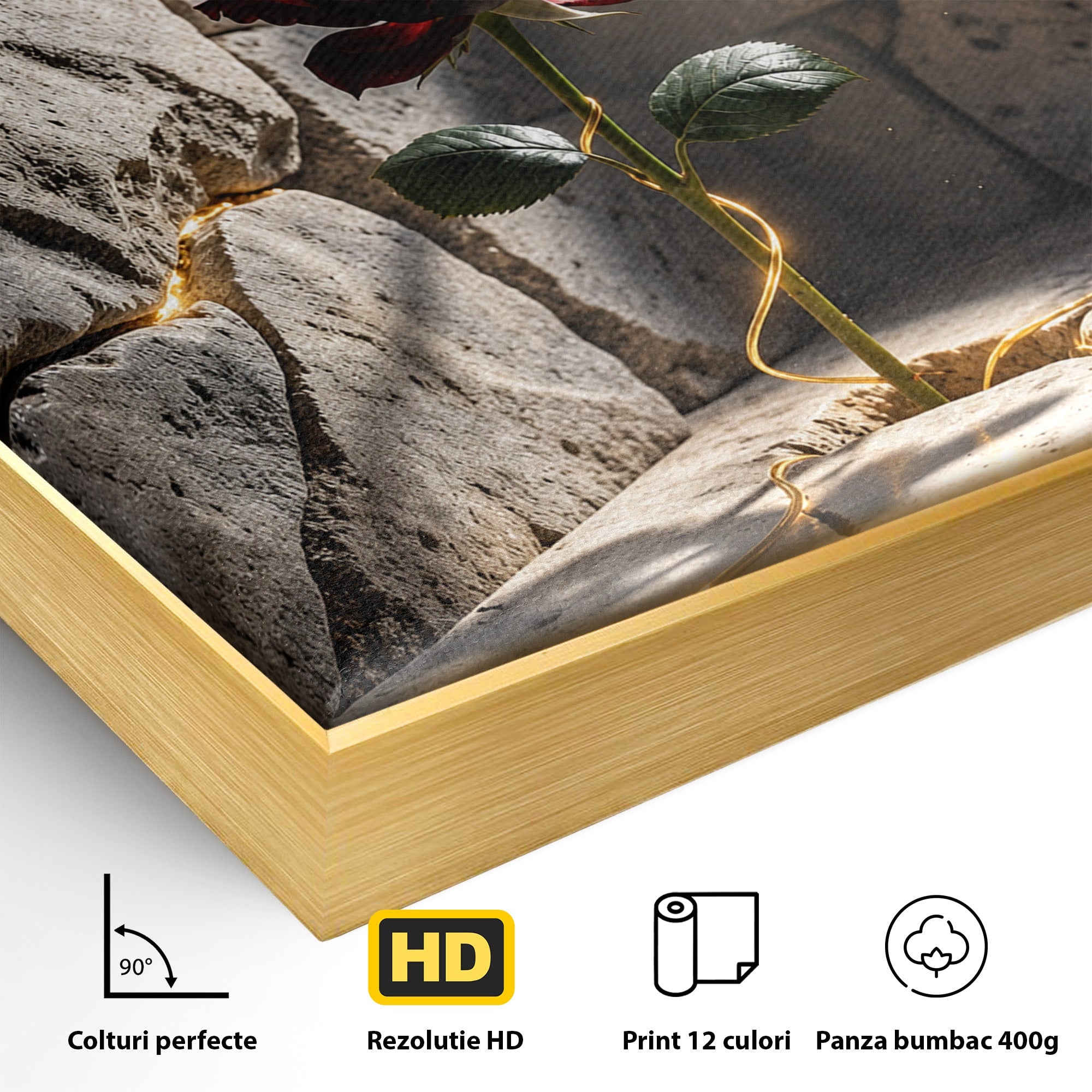 Tablou Canvas Premium LuxCanva® U1139, Trandafirul Magic, Fereastra, Lumina, Piatra, Trandafir, Dormitor, Culori Vibrante