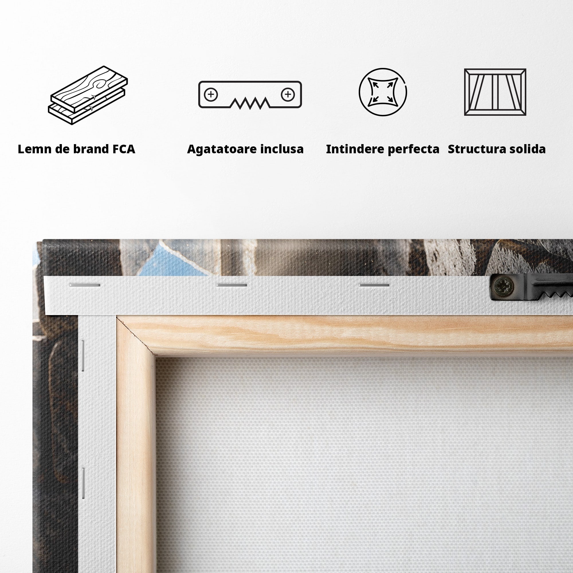 Tablou Canvas Premium LuxCanva® U1139, Trandafirul Magic, Fereastra, Lumina, Piatra, Trandafir, Dormitor, Culori Vibrante