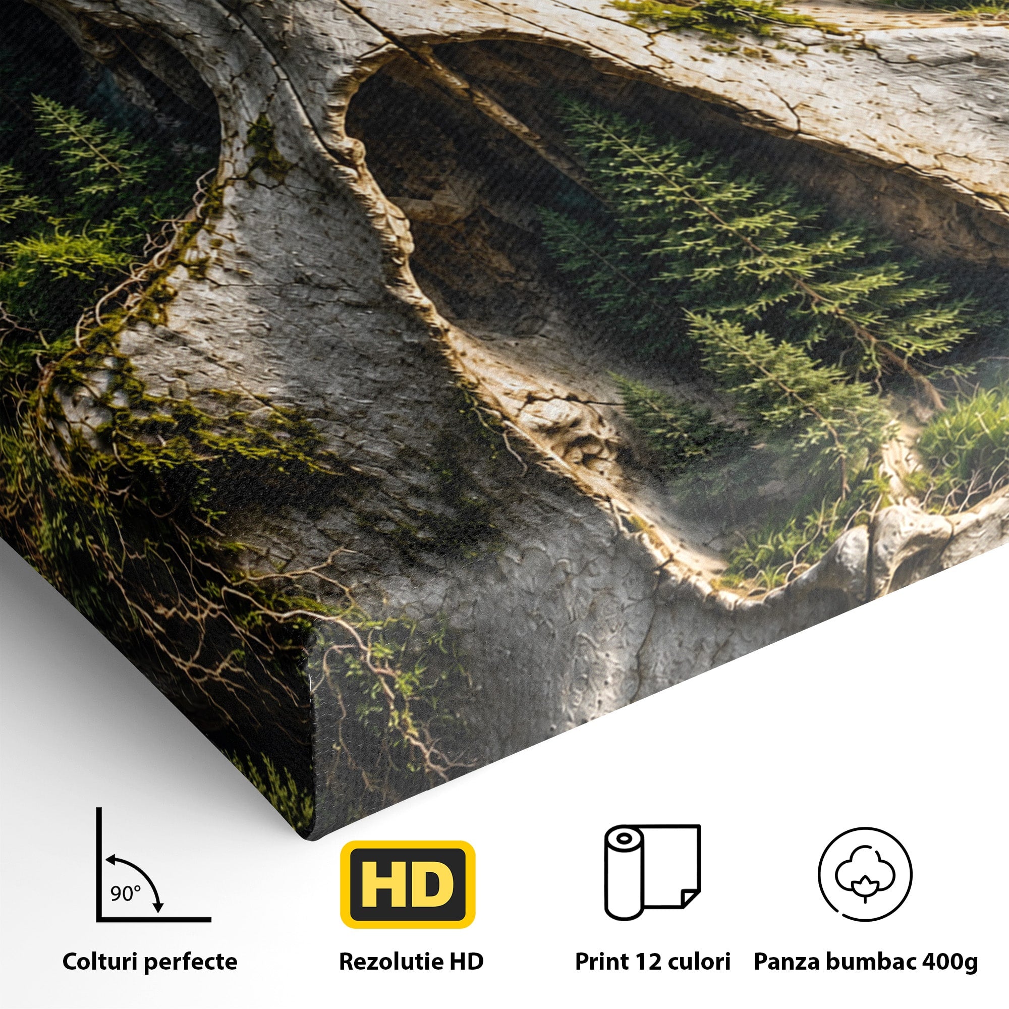 Tablou Canvas Premium LuxCanva® U1140, Craniu Natural, Padure, Natura, Mister, Craniu, Living, Culori Vibrante