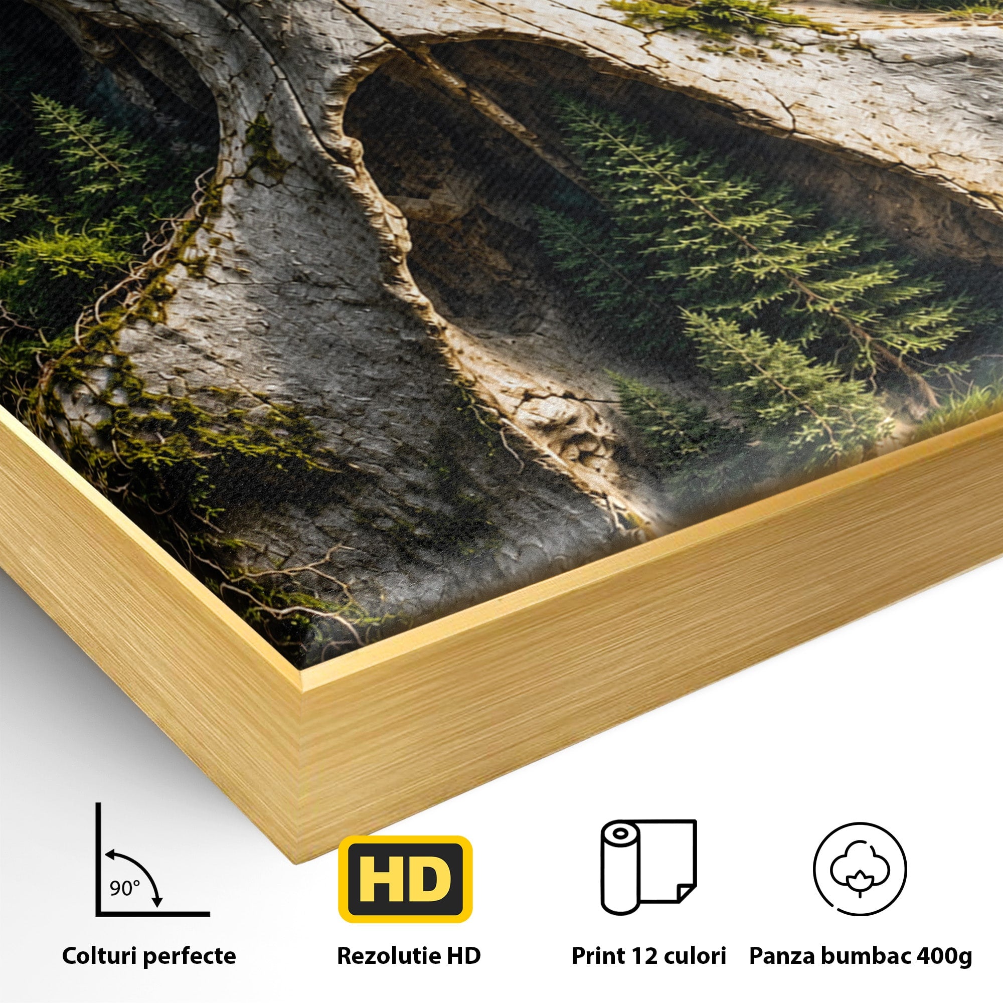 Tablou Canvas Premium LuxCanva® U1140, Craniu Natural, Padure, Natura, Mister, Craniu, Living, Culori Vibrante