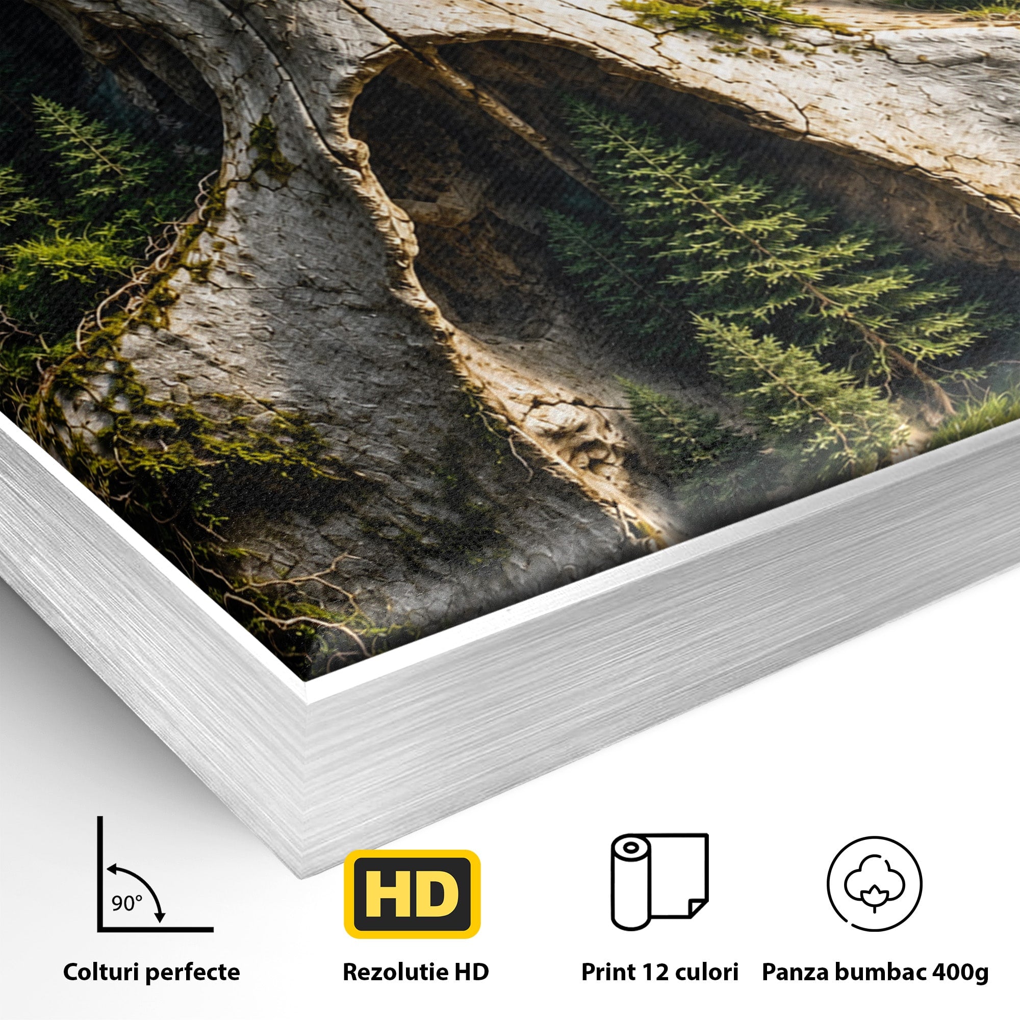 Tablou Canvas Premium LuxCanva® U1140, Craniu Natural, Padure, Natura, Mister, Craniu, Living, Culori Vibrante