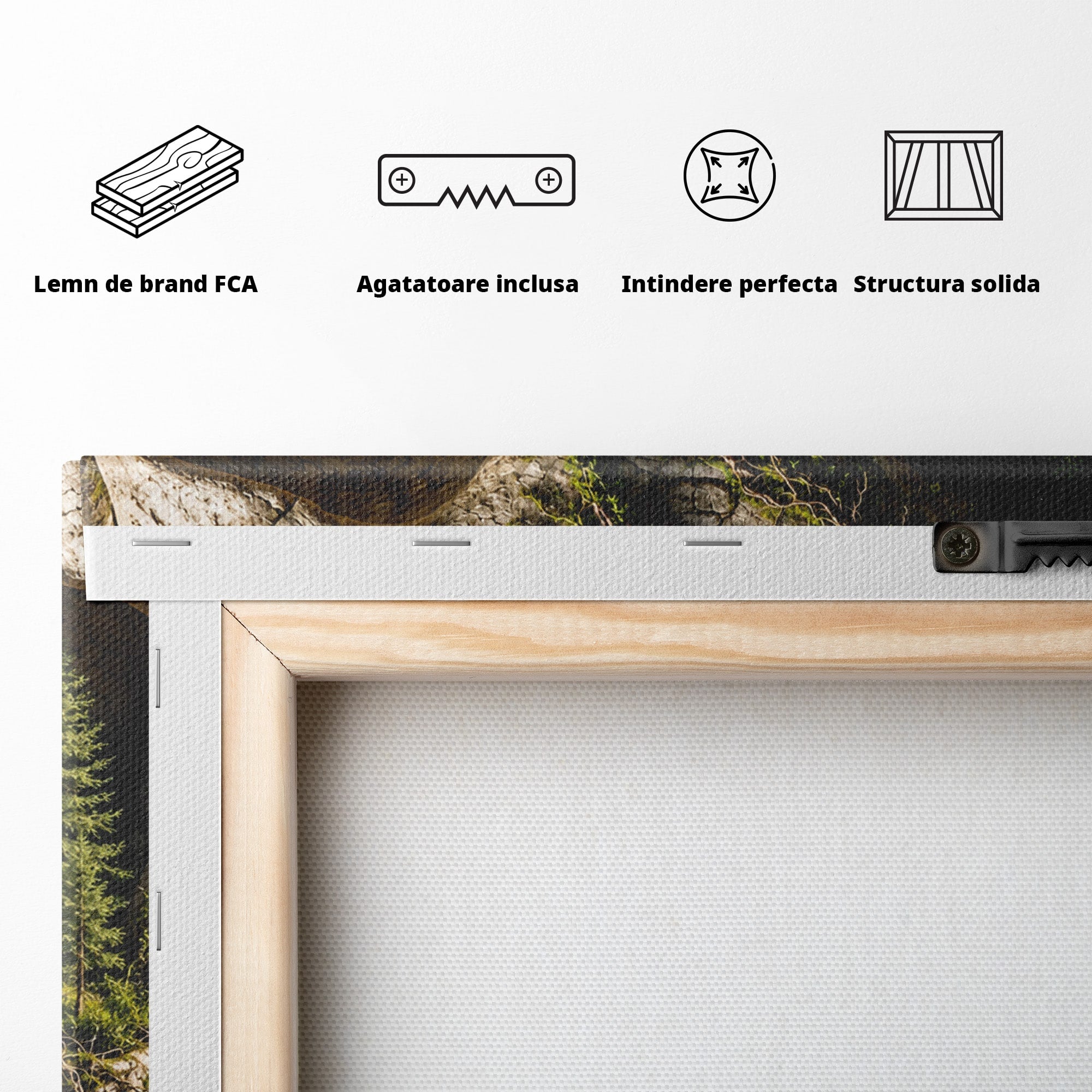 Tablou Canvas Premium LuxCanva® U1140, Craniu Natural, Padure, Natura, Mister, Craniu, Living, Culori Vibrante