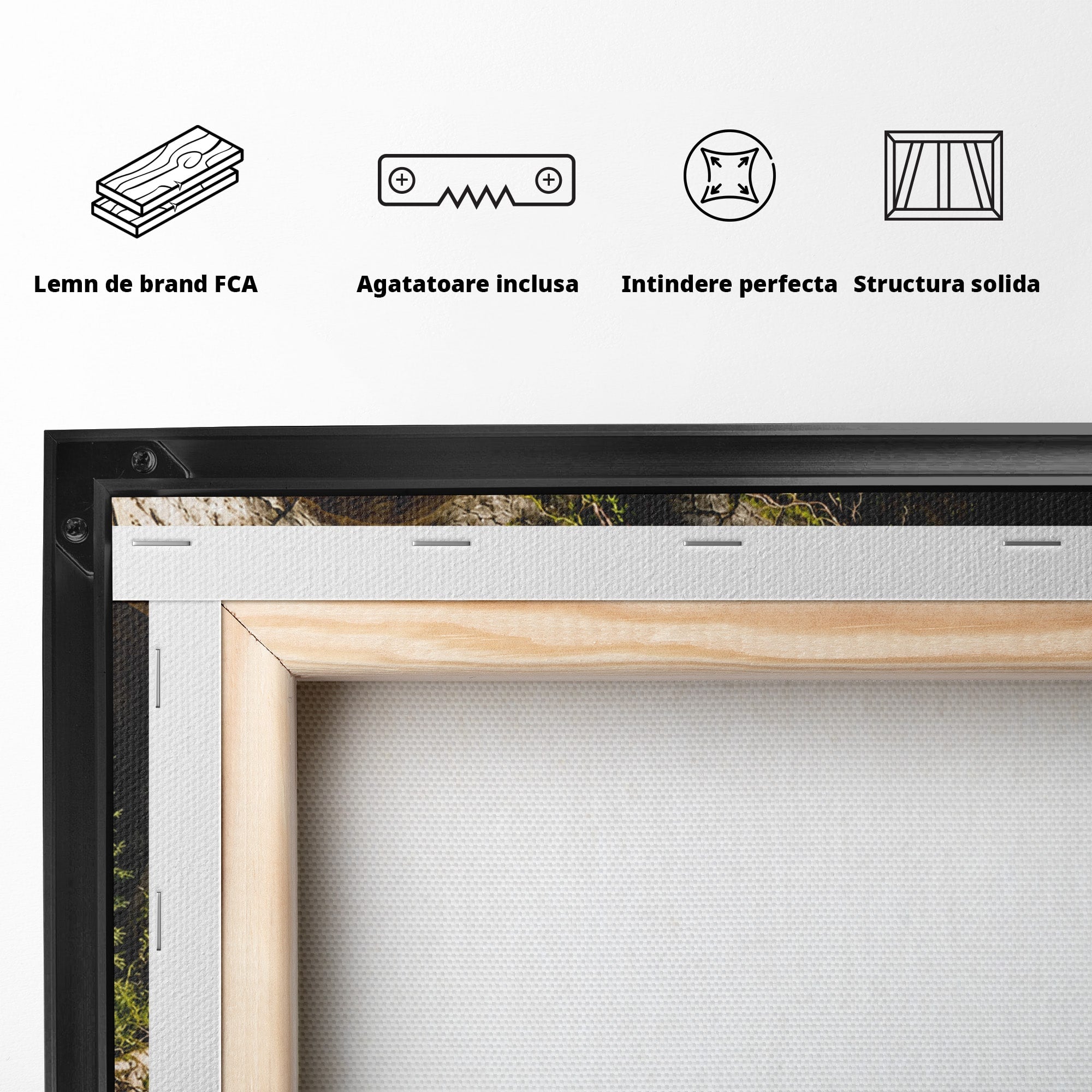 Tablou Canvas Premium LuxCanva® U1140, Craniu Natural, Padure, Natura, Mister, Craniu, Living, Culori Vibrante