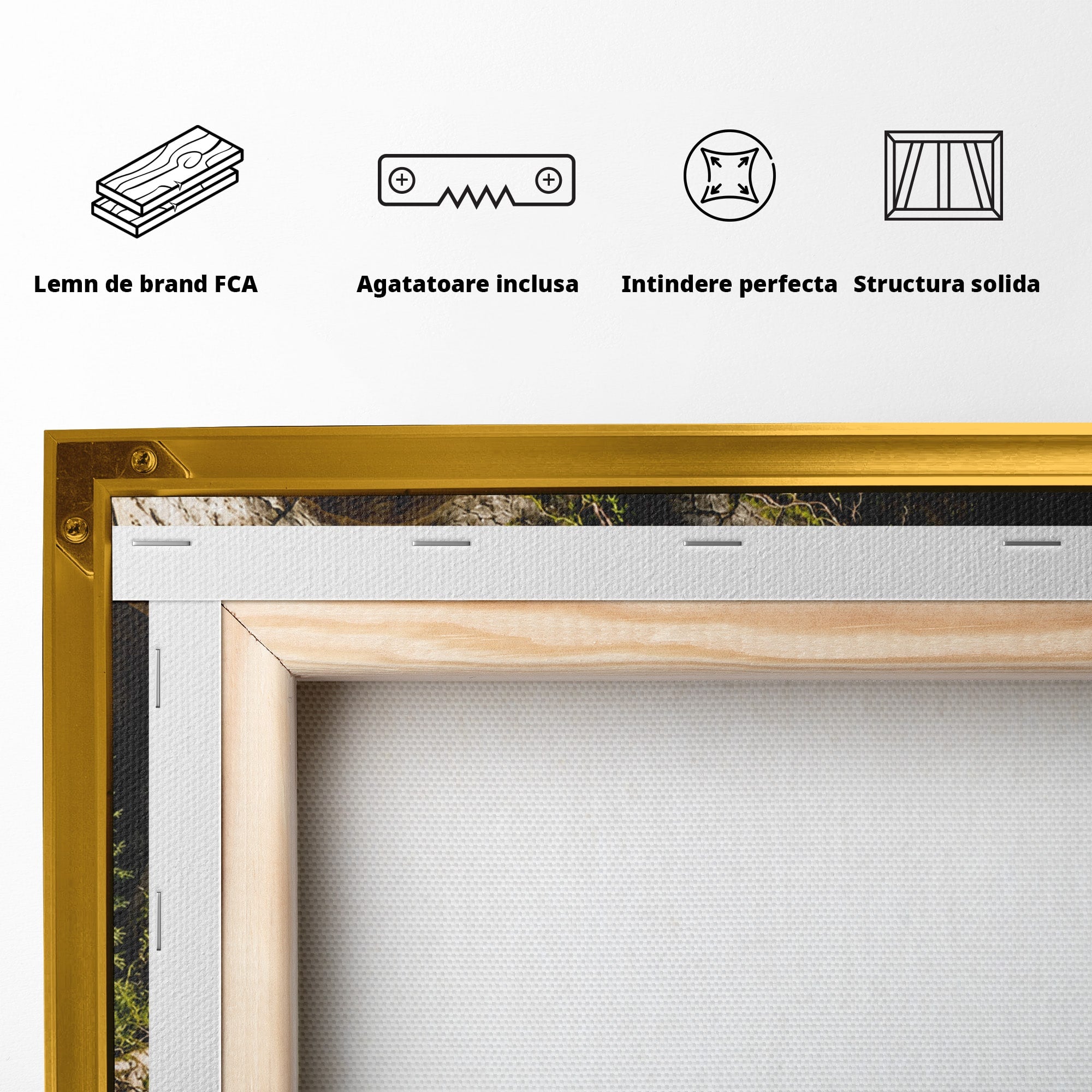 Tablou Canvas Premium LuxCanva® U1140, Craniu Natural, Padure, Natura, Mister, Craniu, Living, Culori Vibrante