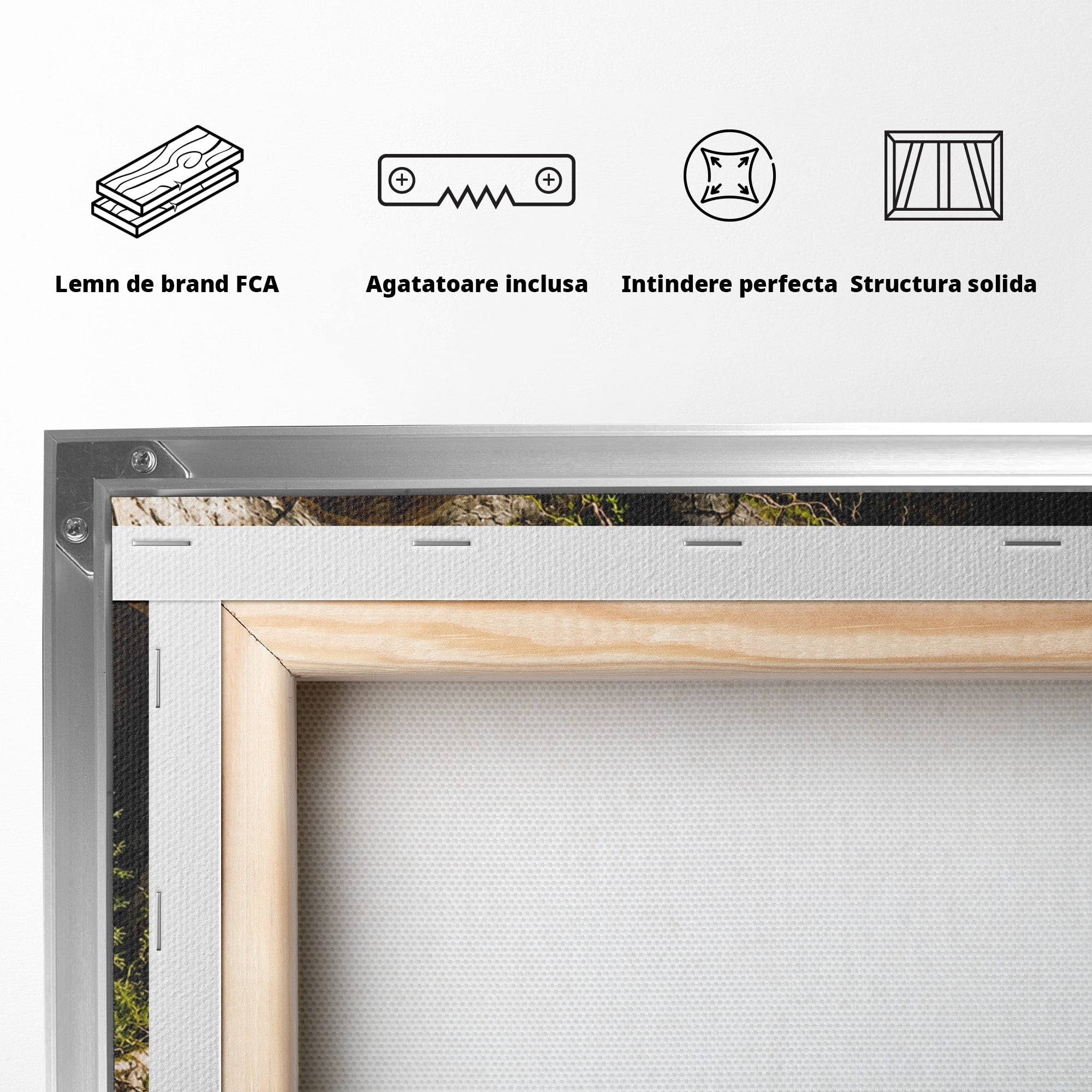 Tablou Canvas Premium LuxCanva® U1140, Craniu Natural, Padure, Natura, Mister, Craniu, Living, Culori Vibrante