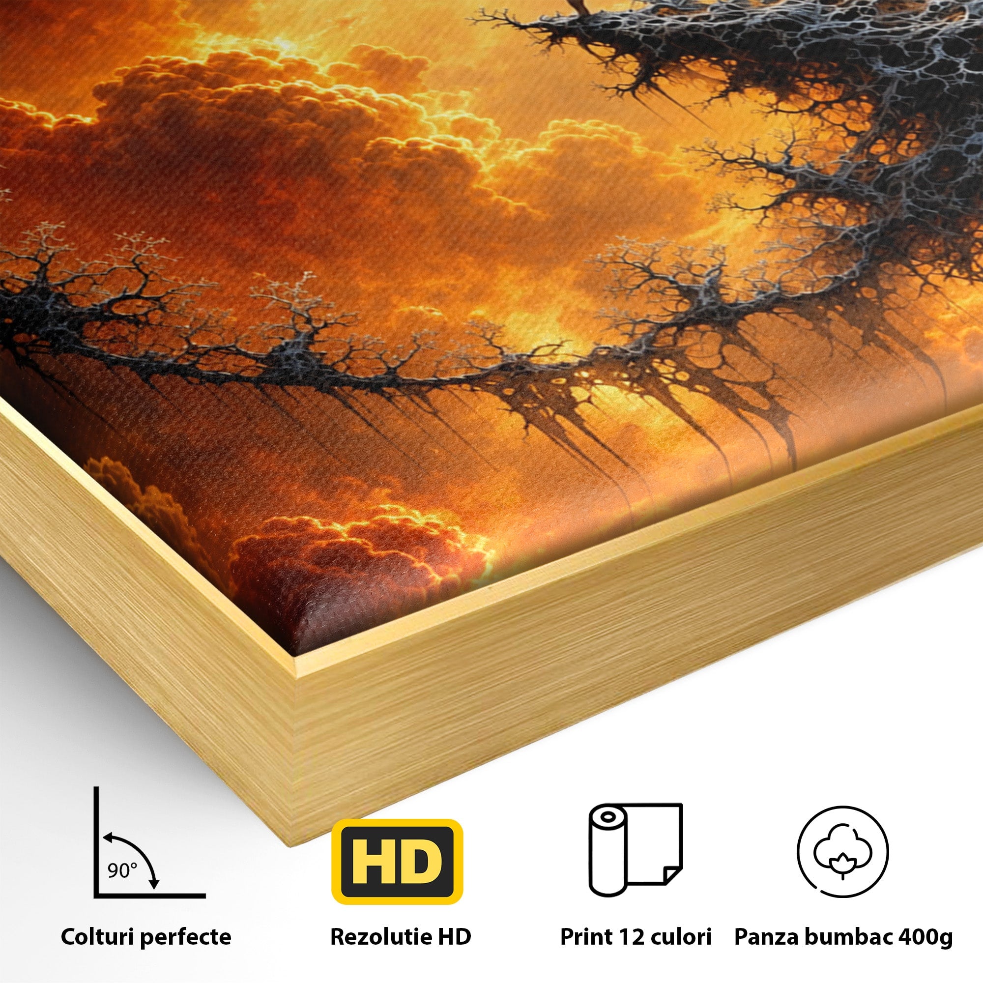Tablou Canvas Premium LuxCanva® U1141, Zana Lunii, Mister, Fantezie, Zana, Luna, Dormitor, Living, Culori Vibrante