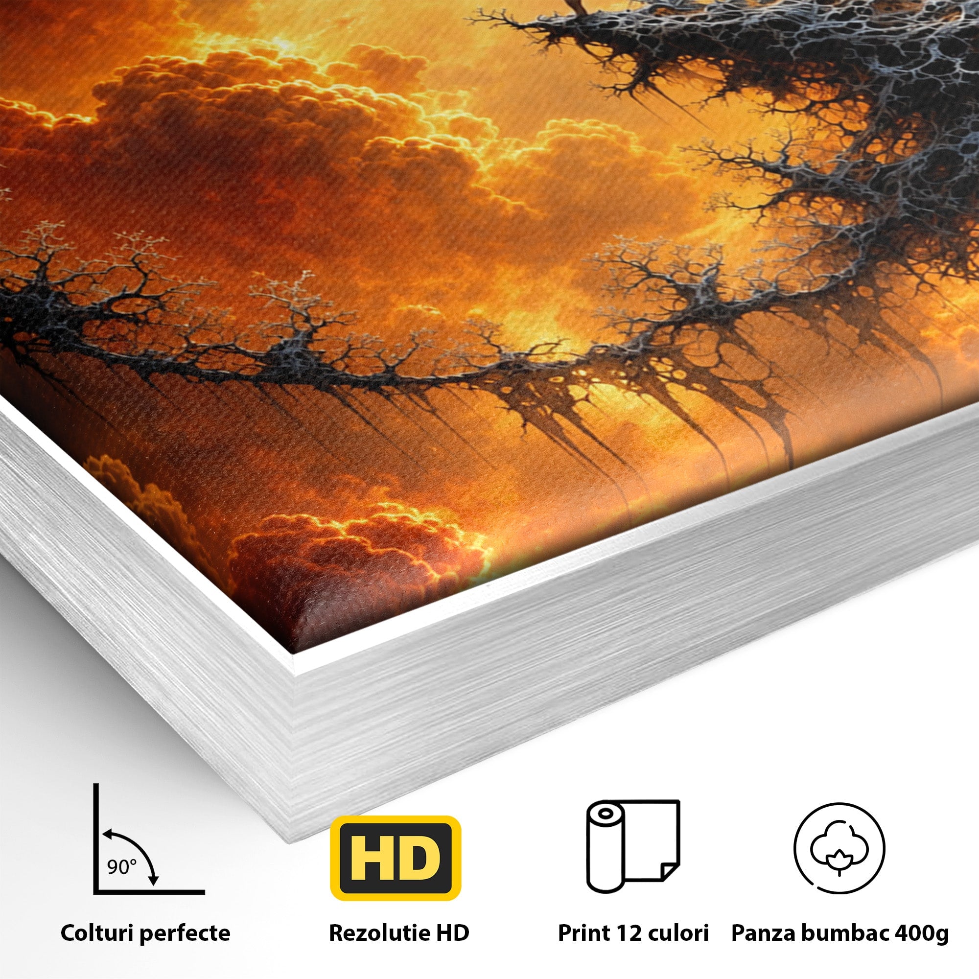 Tablou Canvas Premium LuxCanva® U1141, Zana Lunii, Mister, Fantezie, Zana, Luna, Dormitor, Living, Culori Vibrante