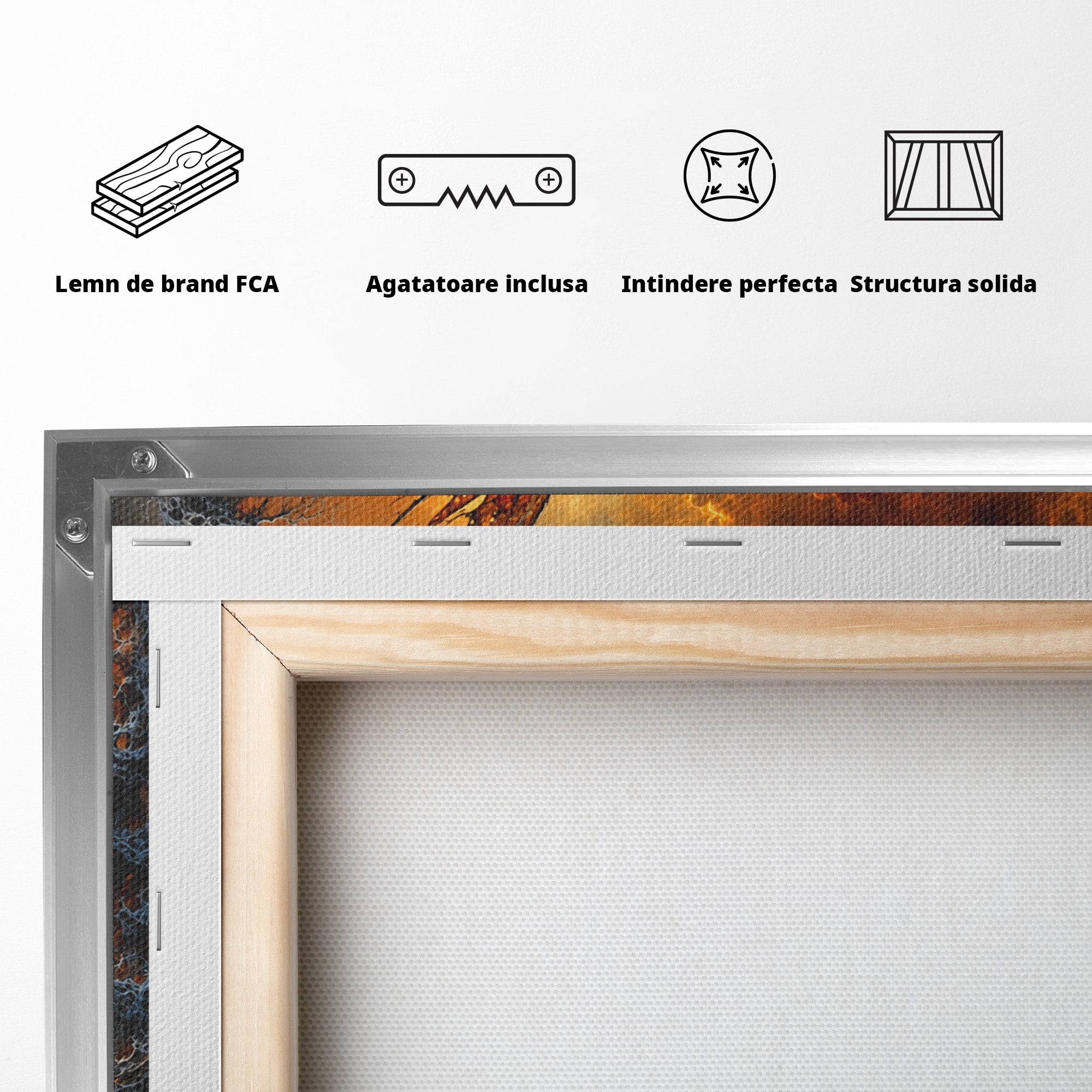 Tablou Canvas Premium LuxCanva® U1141, Zana Lunii, Mister, Fantezie, Zana, Luna, Dormitor, Living, Culori Vibrante