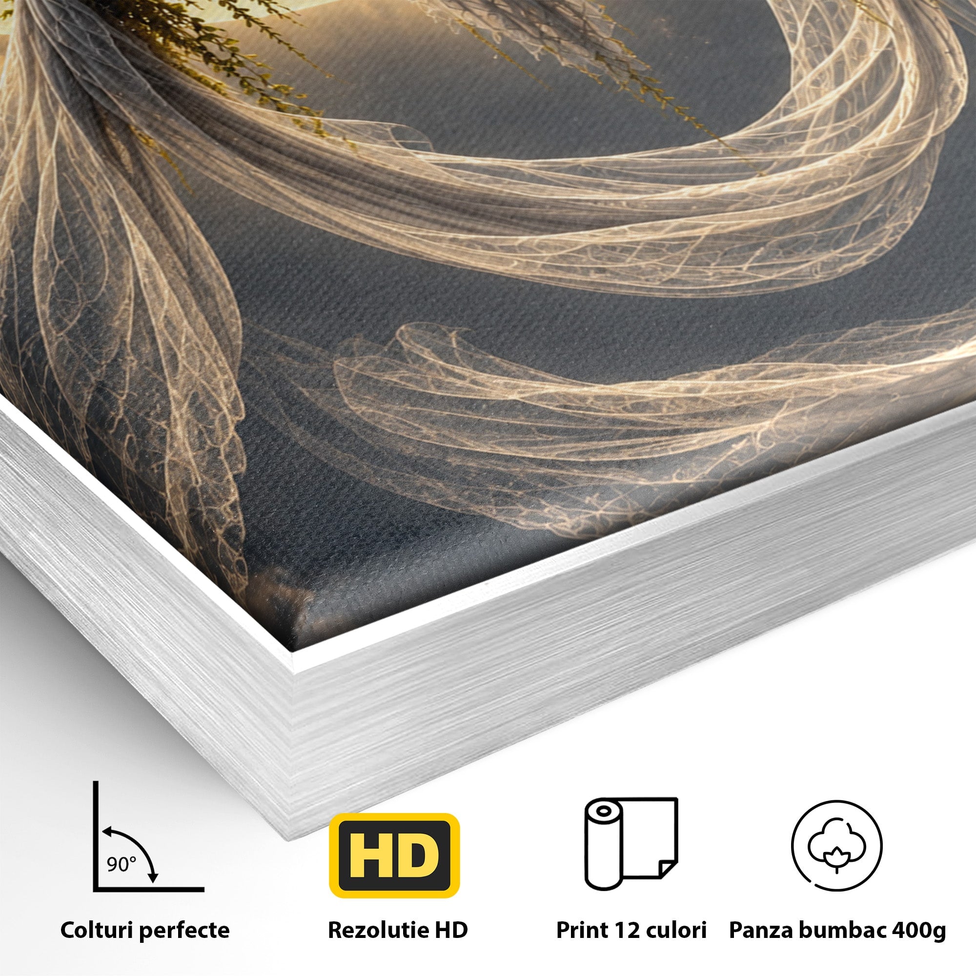Tablou Canvas Premium LuxCanva® U1142, Visul Lunii, Noapte, Mister, Zana, Luna, Dormitor, Culori Vibrante