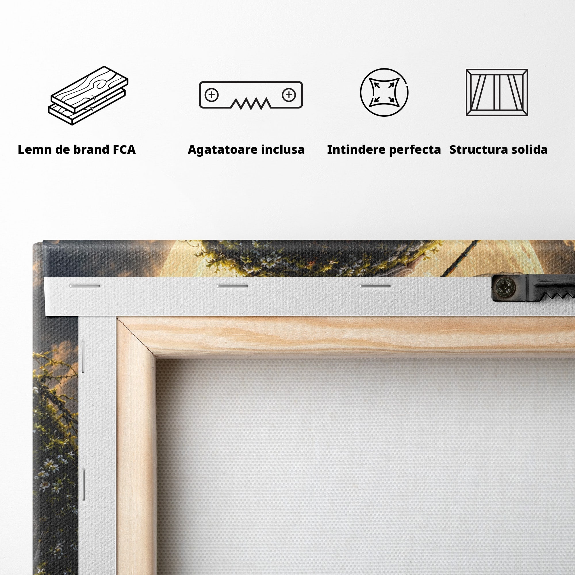 Tablou Canvas Premium LuxCanva® U1142, Visul Lunii, Noapte, Mister, Zana, Luna, Dormitor, Culori Vibrante
