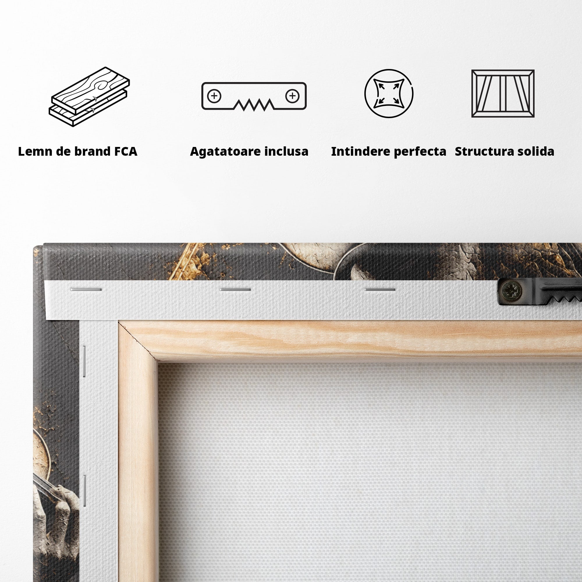 Tablou Canvas Premium LuxCanva® U1152, Muziciana Eleganta, Vioara, Muzica, Relaxare, Arta, Living, Culori Vibrante