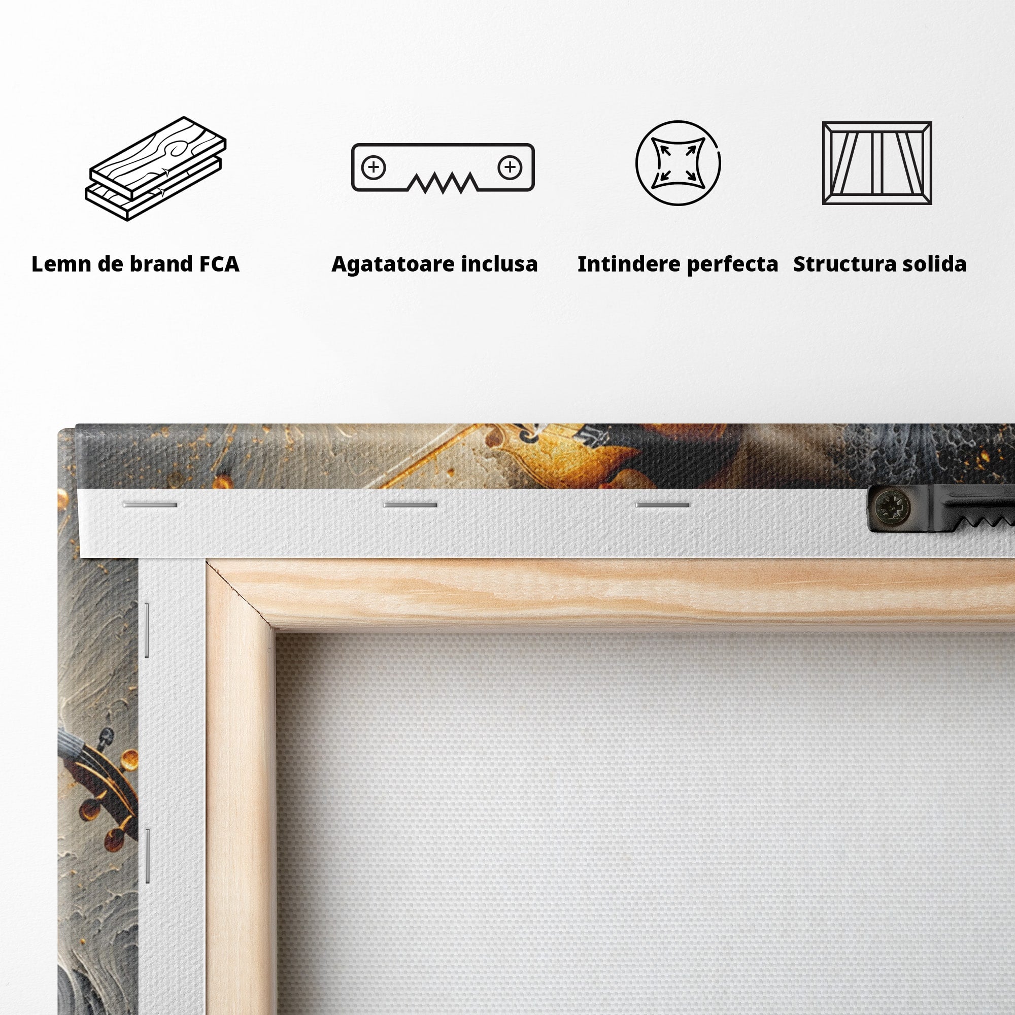 Tablou Canvas Premium LuxCanva® U1153, Femeie Cu Vioara, Vioara, Muzica, Arta, Living, Culori Vibrante