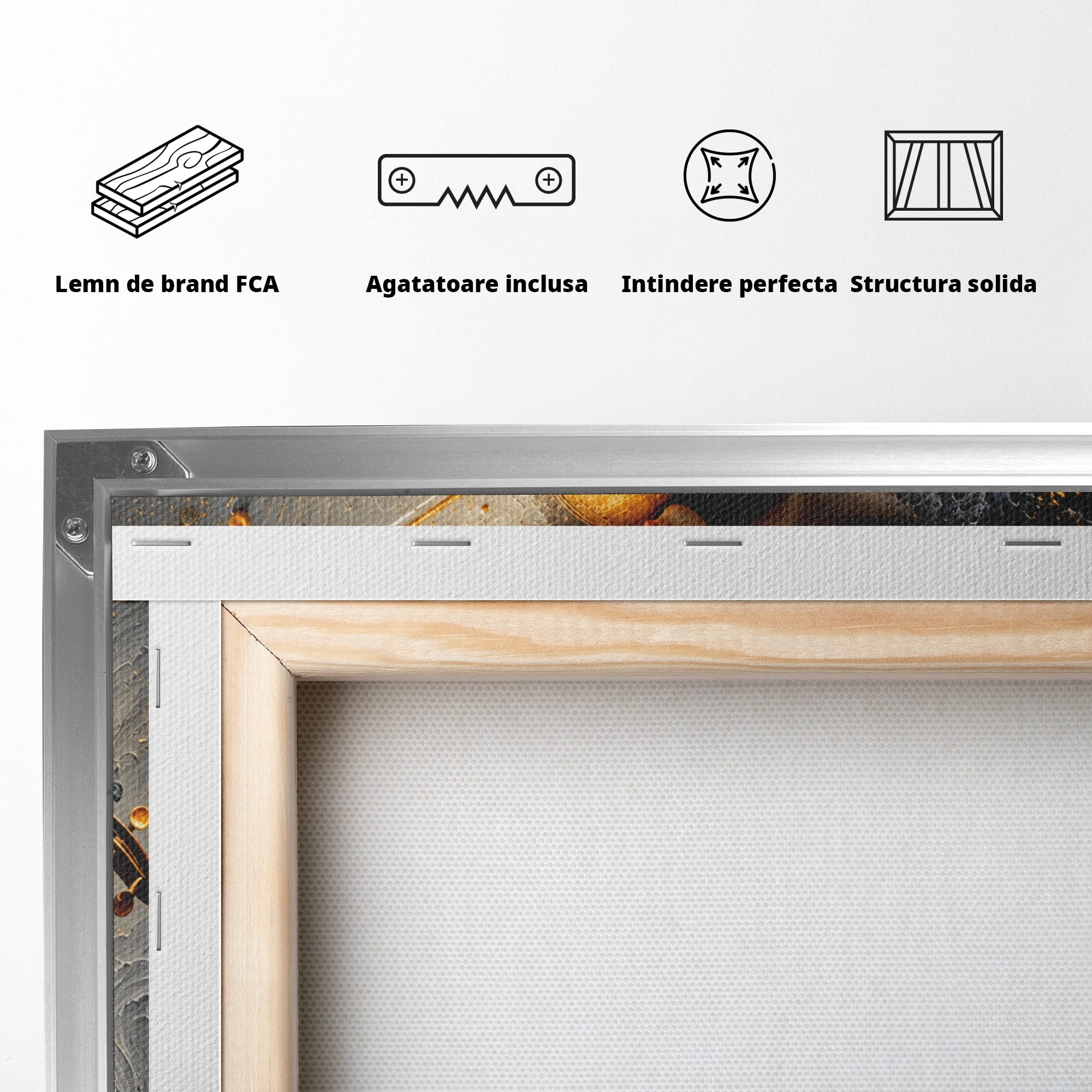 Tablou Canvas Premium LuxCanva® U1153, Femeie Cu Vioara, Vioara, Muzica, Arta, Living, Culori Vibrante