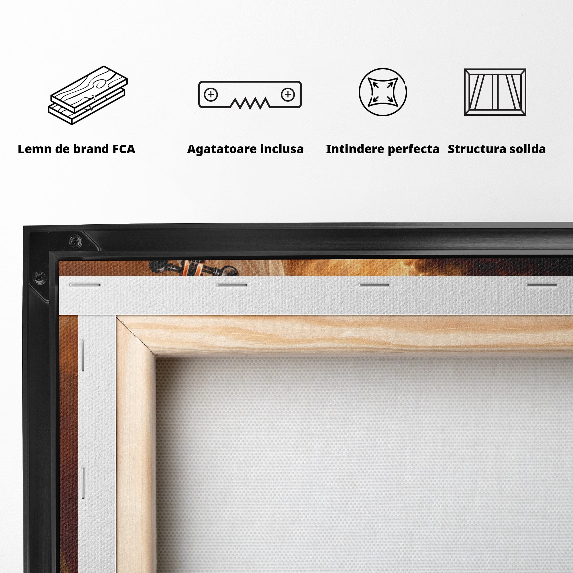 Tablou Canvas Premium LuxCanva® U1154, Dansul Muzicii, Dansatoare, Vioara, Arta, Eleganta, Living, Culori Vibrante