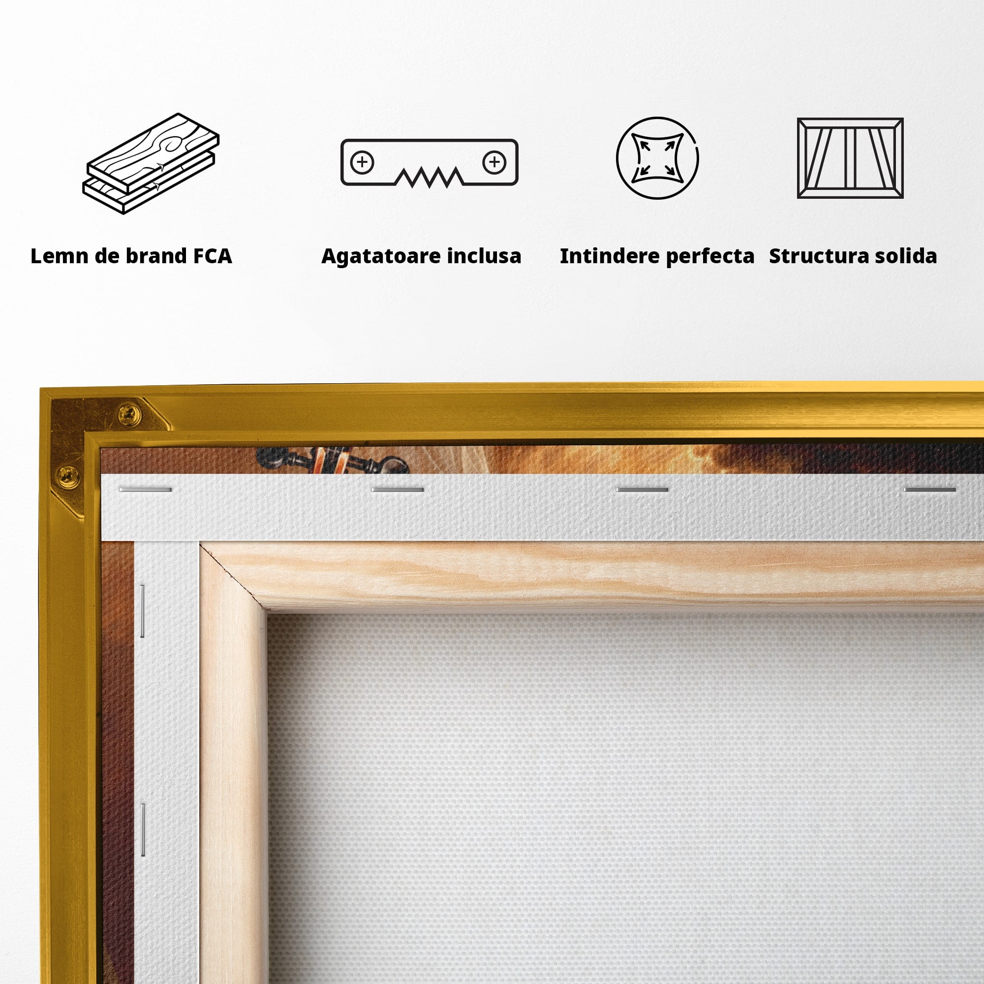 Tablou Canvas Premium LuxCanva® U1154, Dansul Muzicii, Dansatoare, Vioara, Arta, Eleganta, Living, Culori Vibrante
