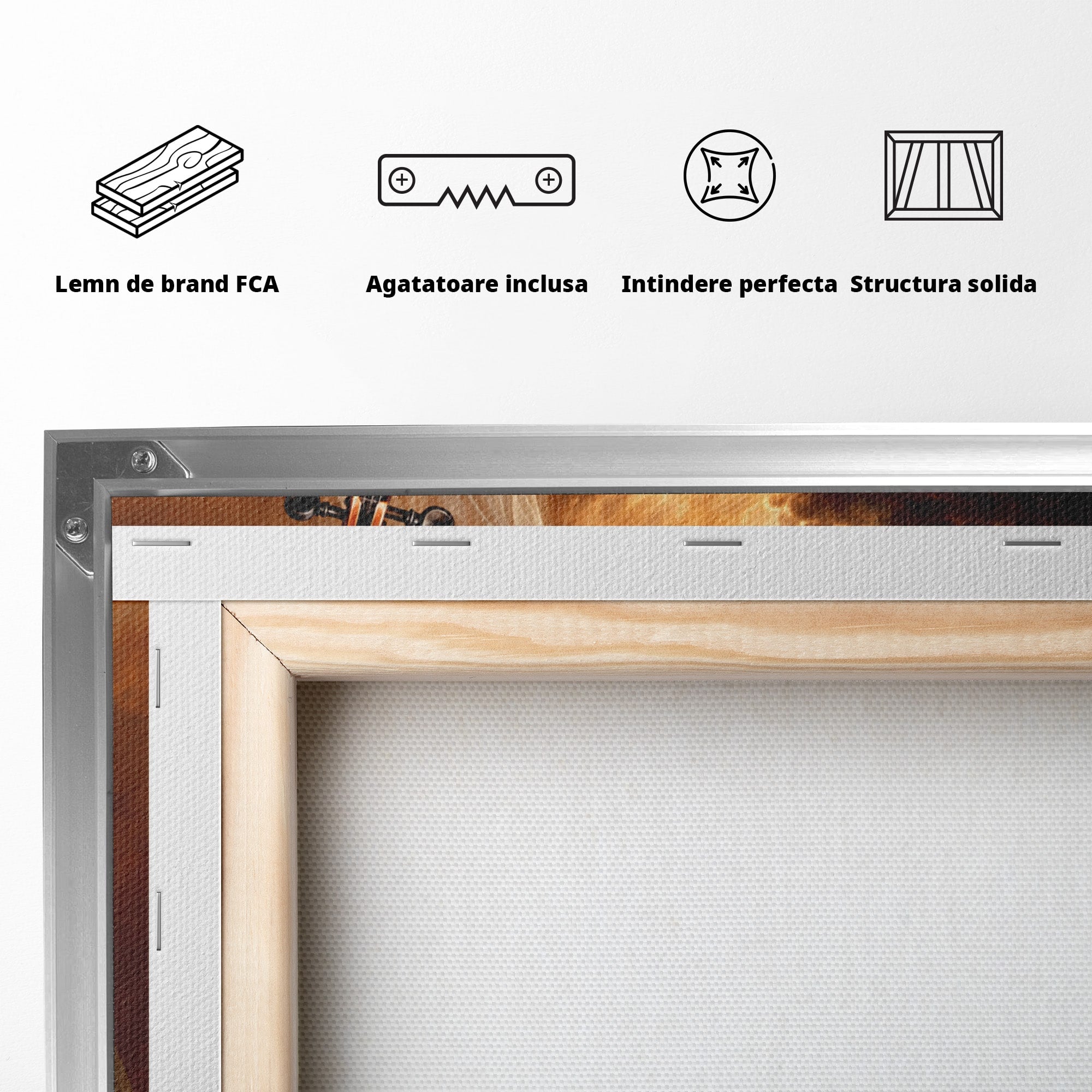 Tablou Canvas Premium LuxCanva® U1154, Dansul Muzicii, Dansatoare, Vioara, Arta, Eleganta, Living, Culori Vibrante