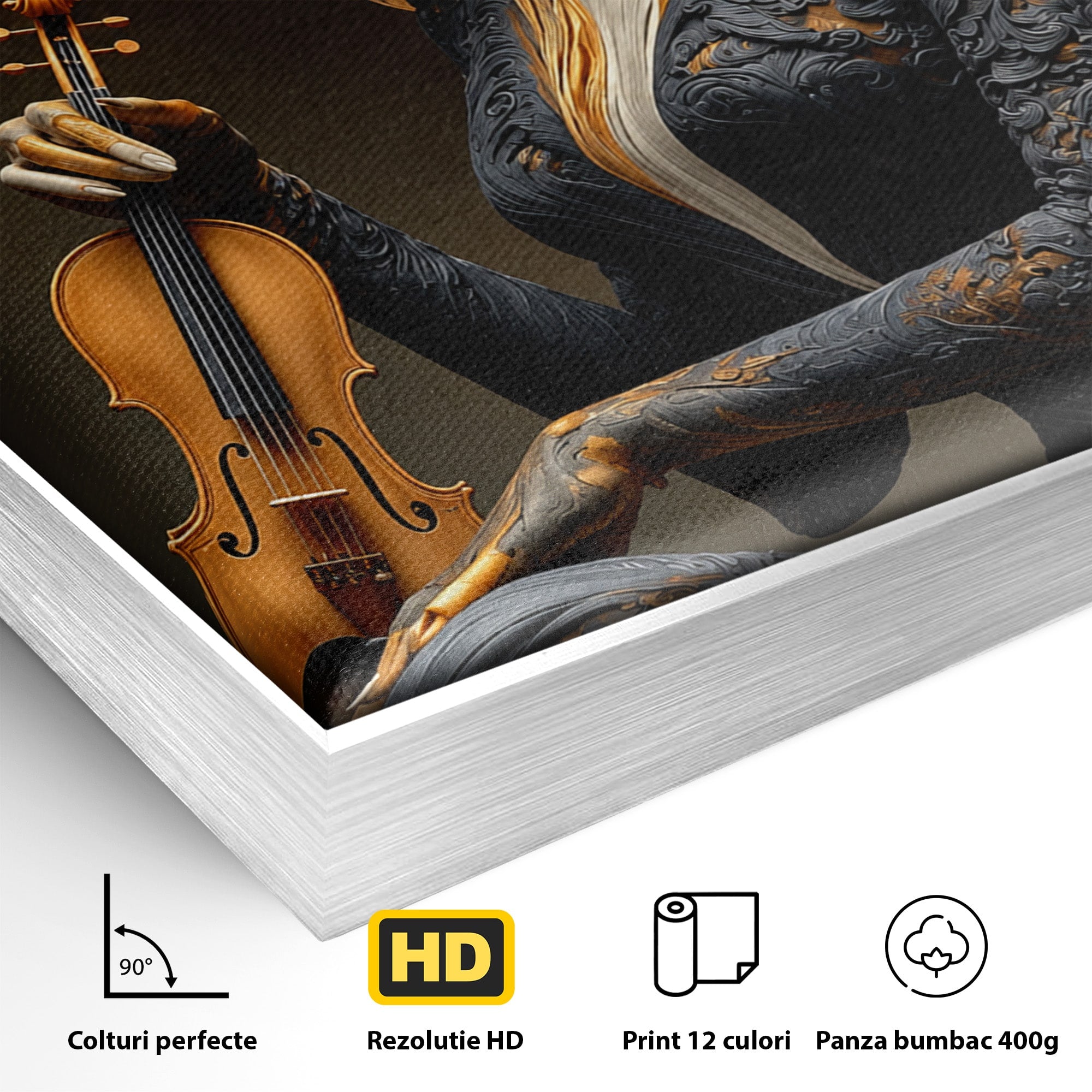Tablou Canvas Premium LuxCanva® U1158, Muzica Interioara, Femeie, Vioara, Muzica, Arta, Living, Culori Vibrante