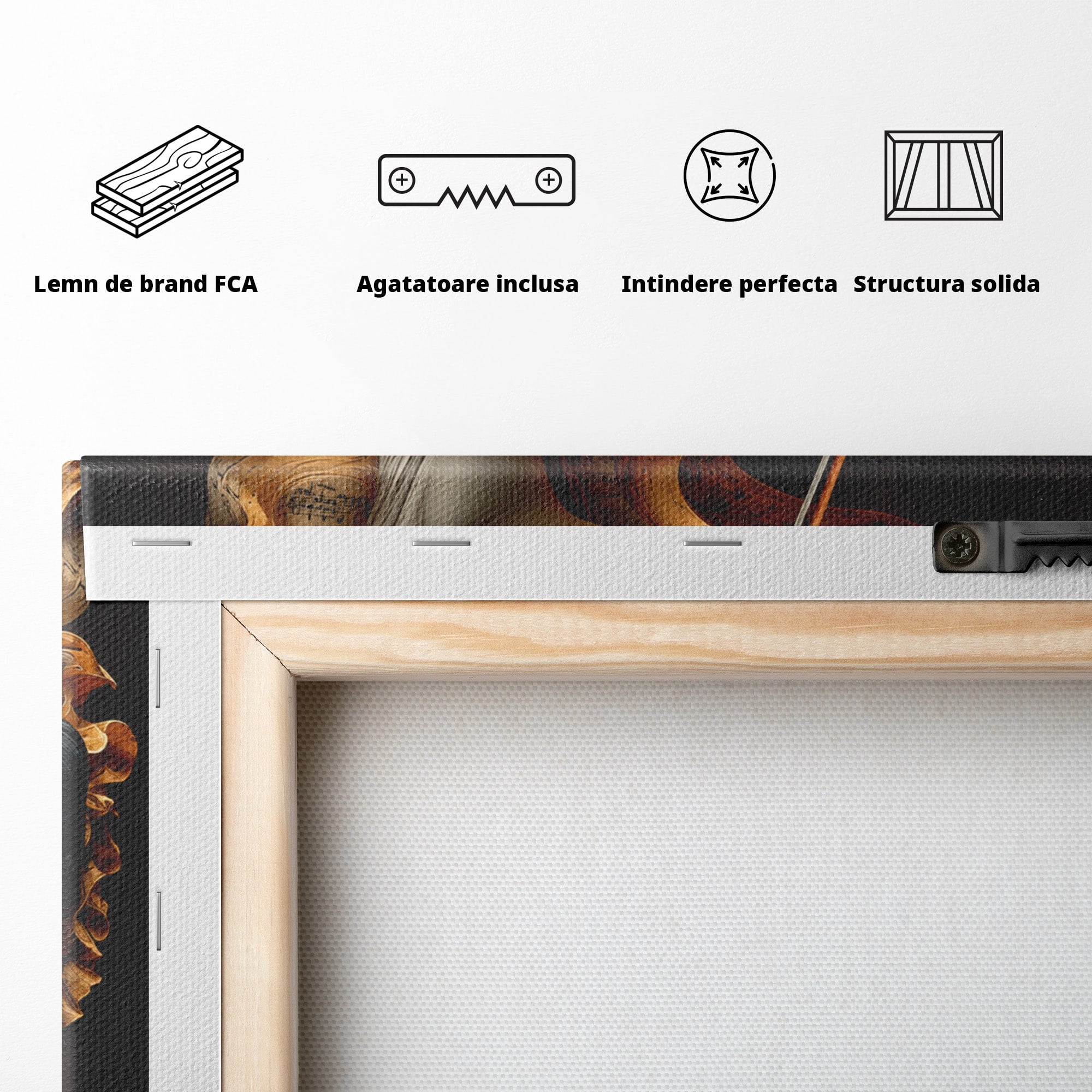 Tablou Canvas Premium LuxCanva® U1158, Muzica Interioara, Femeie, Vioara, Muzica, Arta, Living, Culori Vibrante