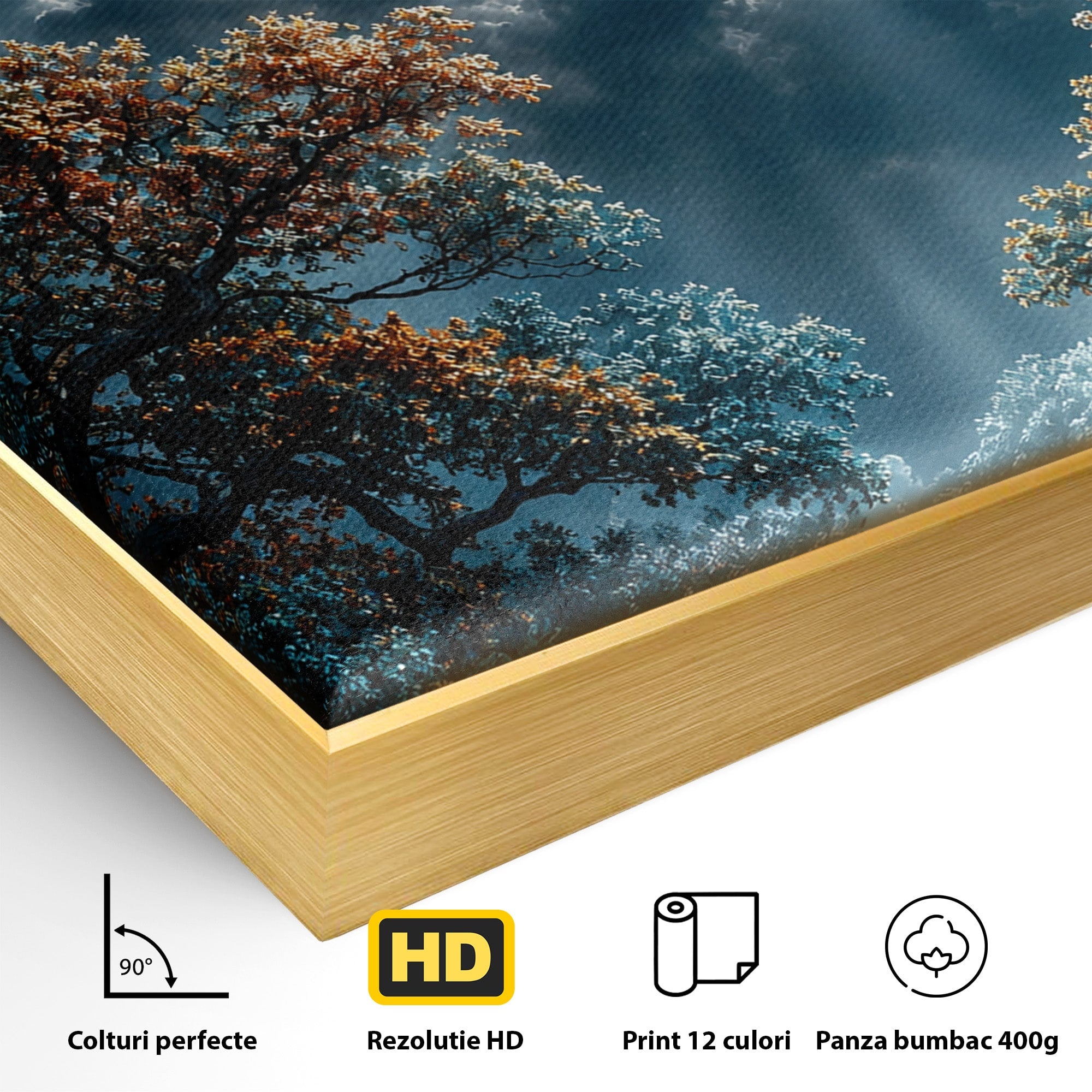Tablou Canvas Premium LuxCanva® U1164, Luna Printre Copaci, Luna, Padure, Noapte, Natura, Living, Culori Vibrante