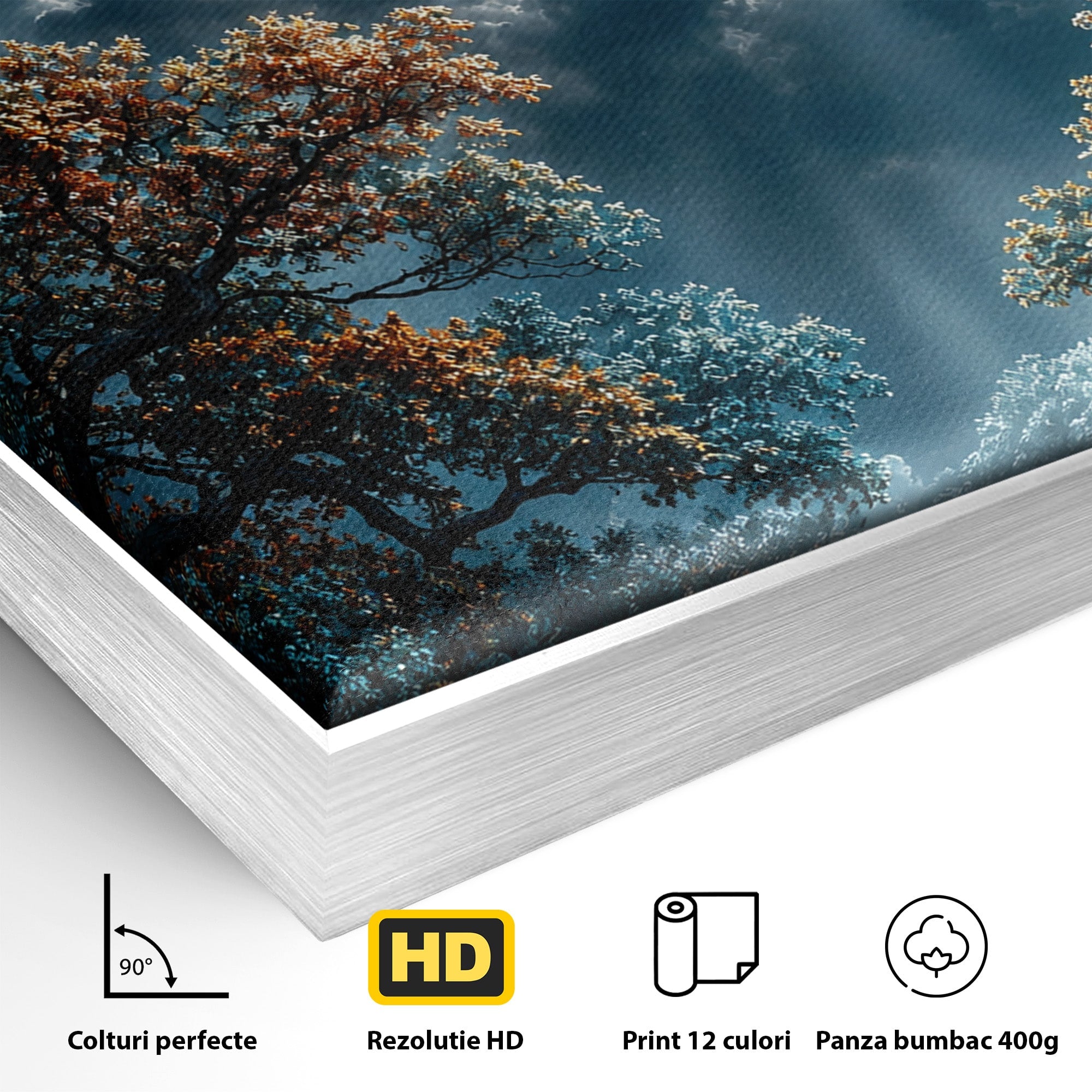 Tablou Canvas Premium LuxCanva® U1164, Luna Printre Copaci, Luna, Padure, Noapte, Natura, Living, Culori Vibrante