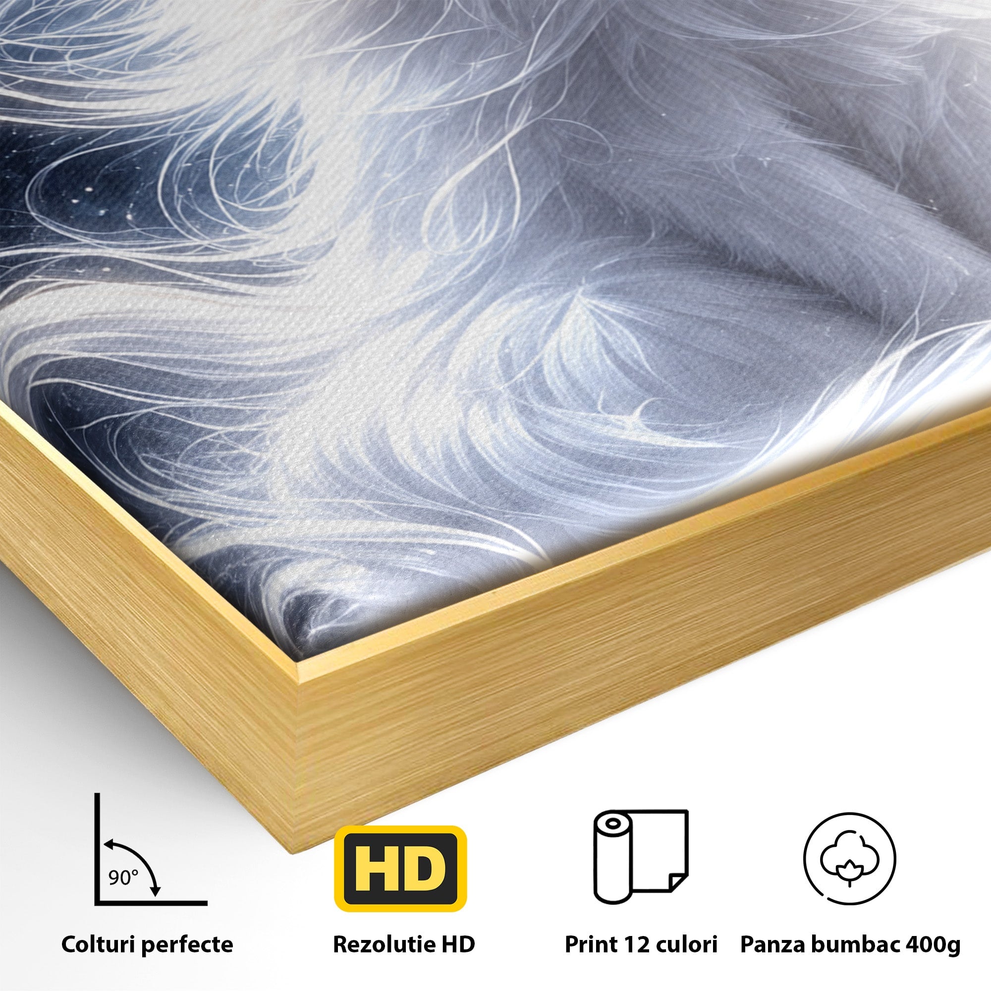 Tablou Canvas Premium LuxCanva® U1184, Pisica De Vis, Eleganta, Pisica, Vis, Living, Dormitor, Culori Vibrante