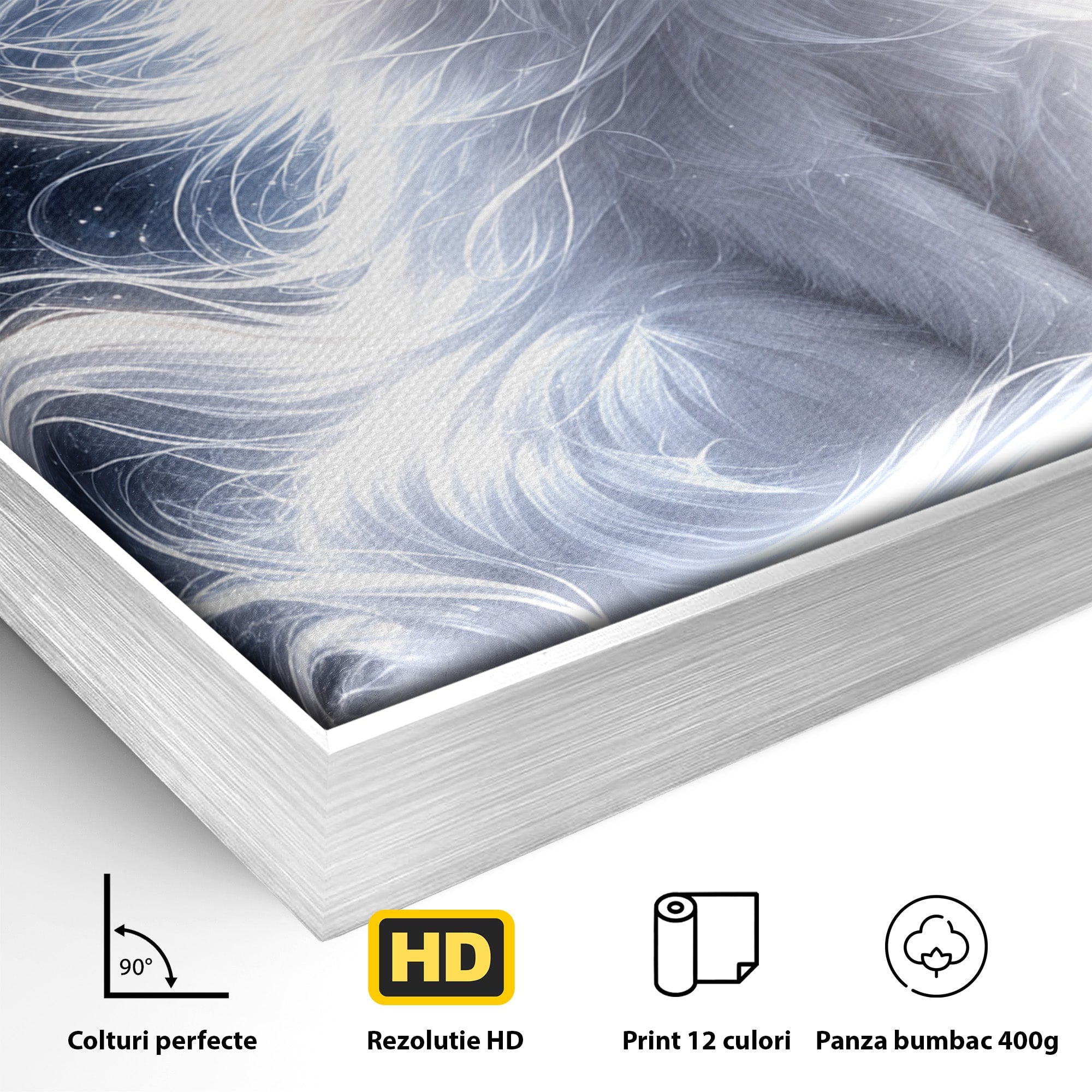 Tablou Canvas Premium LuxCanva® U1184, Pisica De Vis, Eleganta, Pisica, Vis, Living, Dormitor, Culori Vibrante