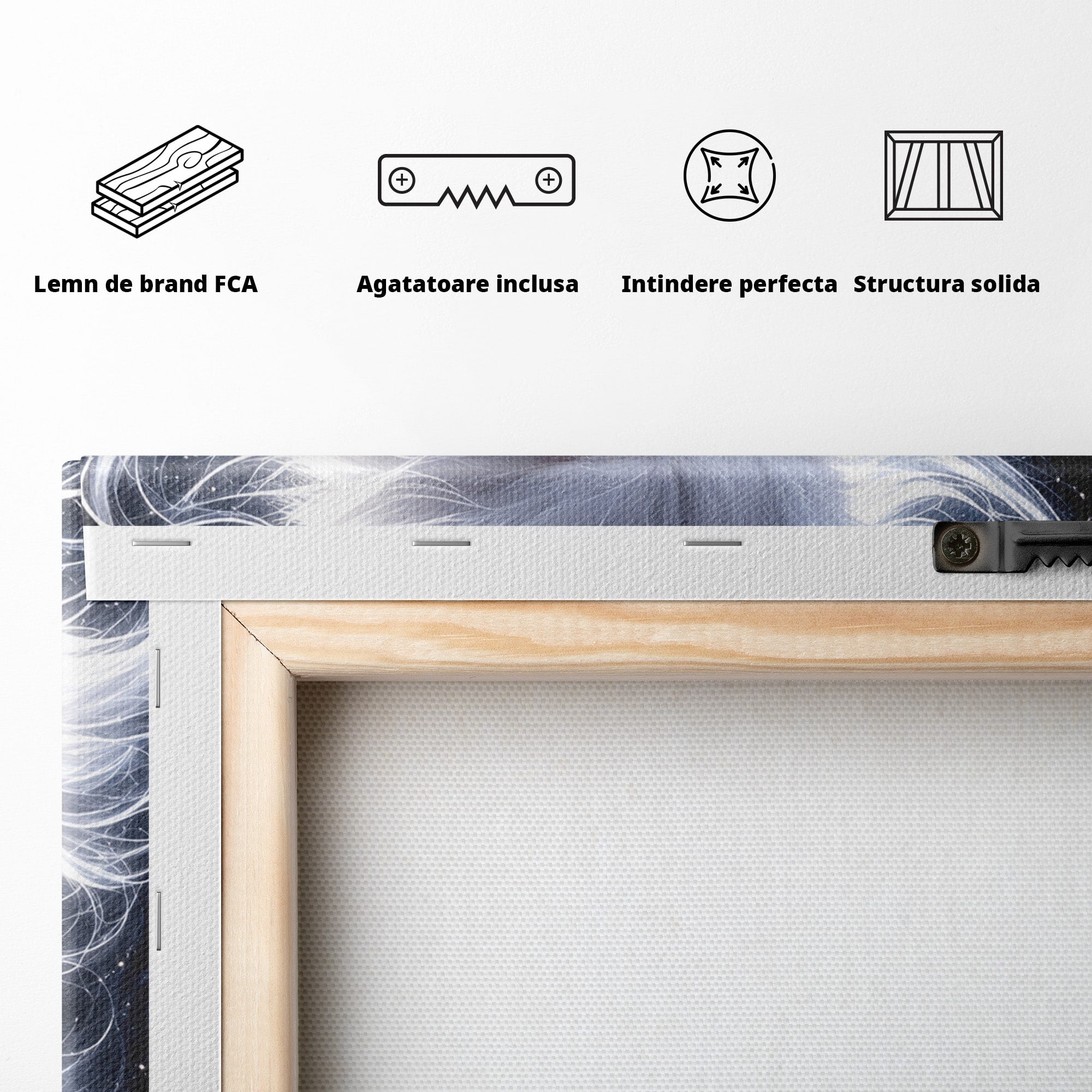 Tablou Canvas Premium LuxCanva® U1184, Pisica De Vis, Eleganta, Pisica, Vis, Living, Dormitor, Culori Vibrante