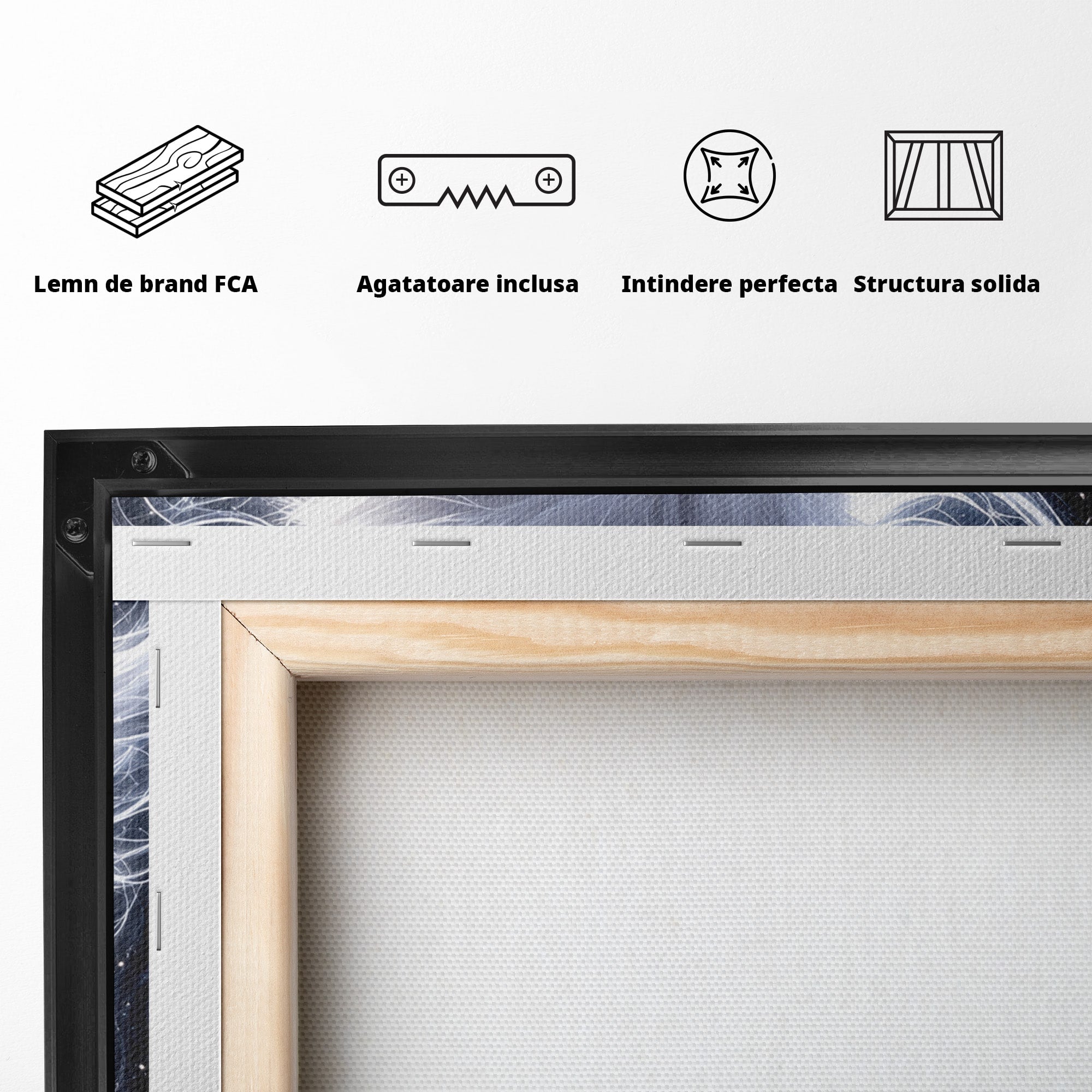 Tablou Canvas Premium LuxCanva® U1184, Pisica De Vis, Eleganta, Pisica, Vis, Living, Dormitor, Culori Vibrante