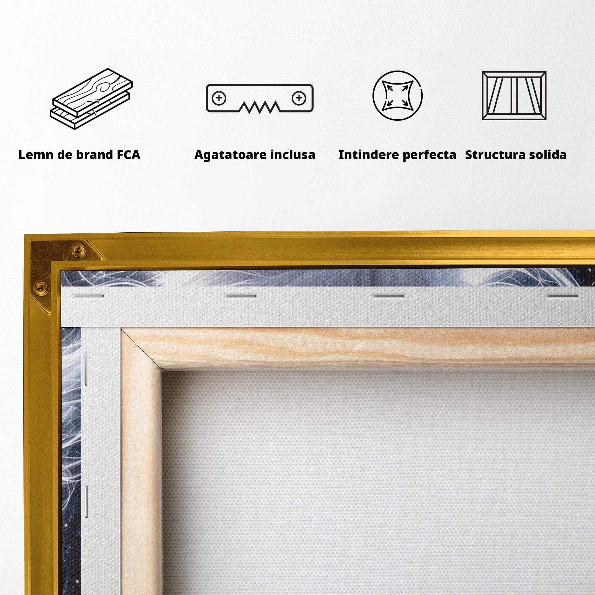 Tablou Canvas Premium LuxCanva® U1184, Pisica De Vis, Eleganta, Pisica, Vis, Living, Dormitor, Culori Vibrante