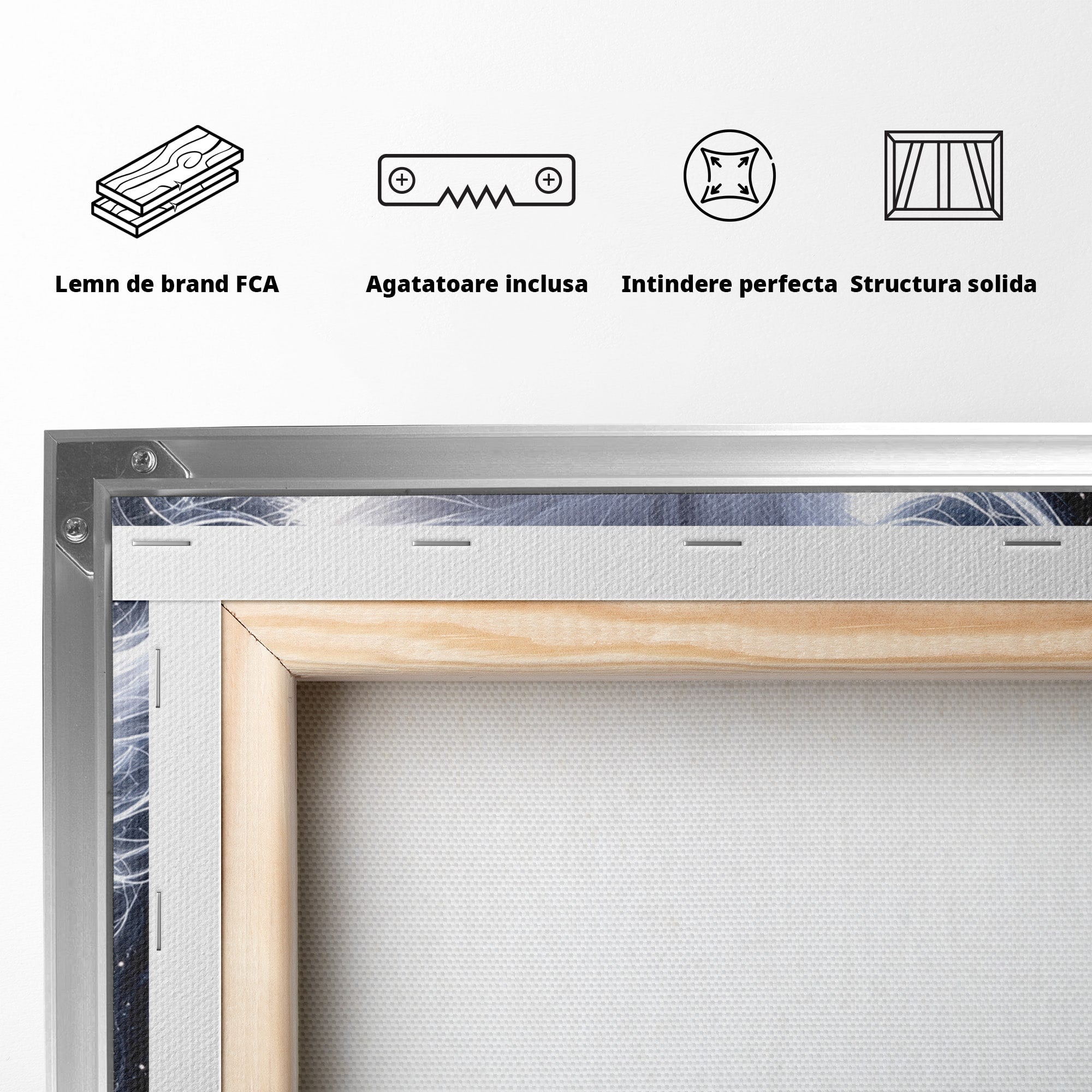 Tablou Canvas Premium LuxCanva® U1184, Pisica De Vis, Eleganta, Pisica, Vis, Living, Dormitor, Culori Vibrante