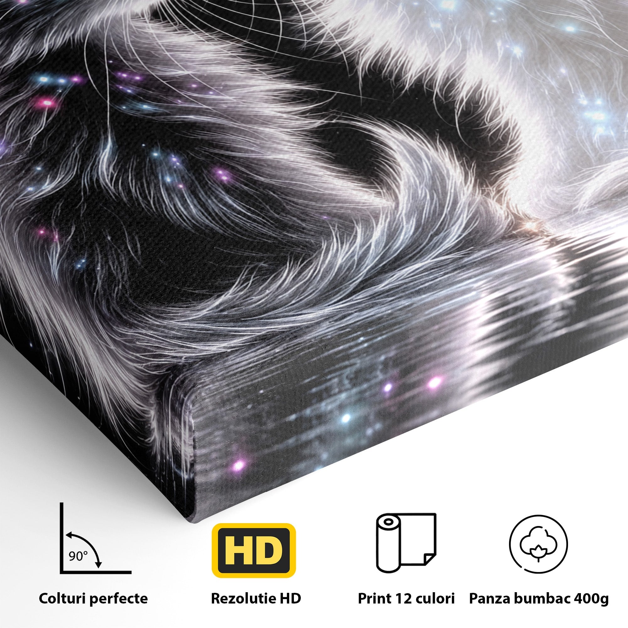 Tablou Canvas Premium LuxCanva® U1185, Pisici Magice, Animale, Pisici, Magie, Living, Dormitor, Culori Vibrante